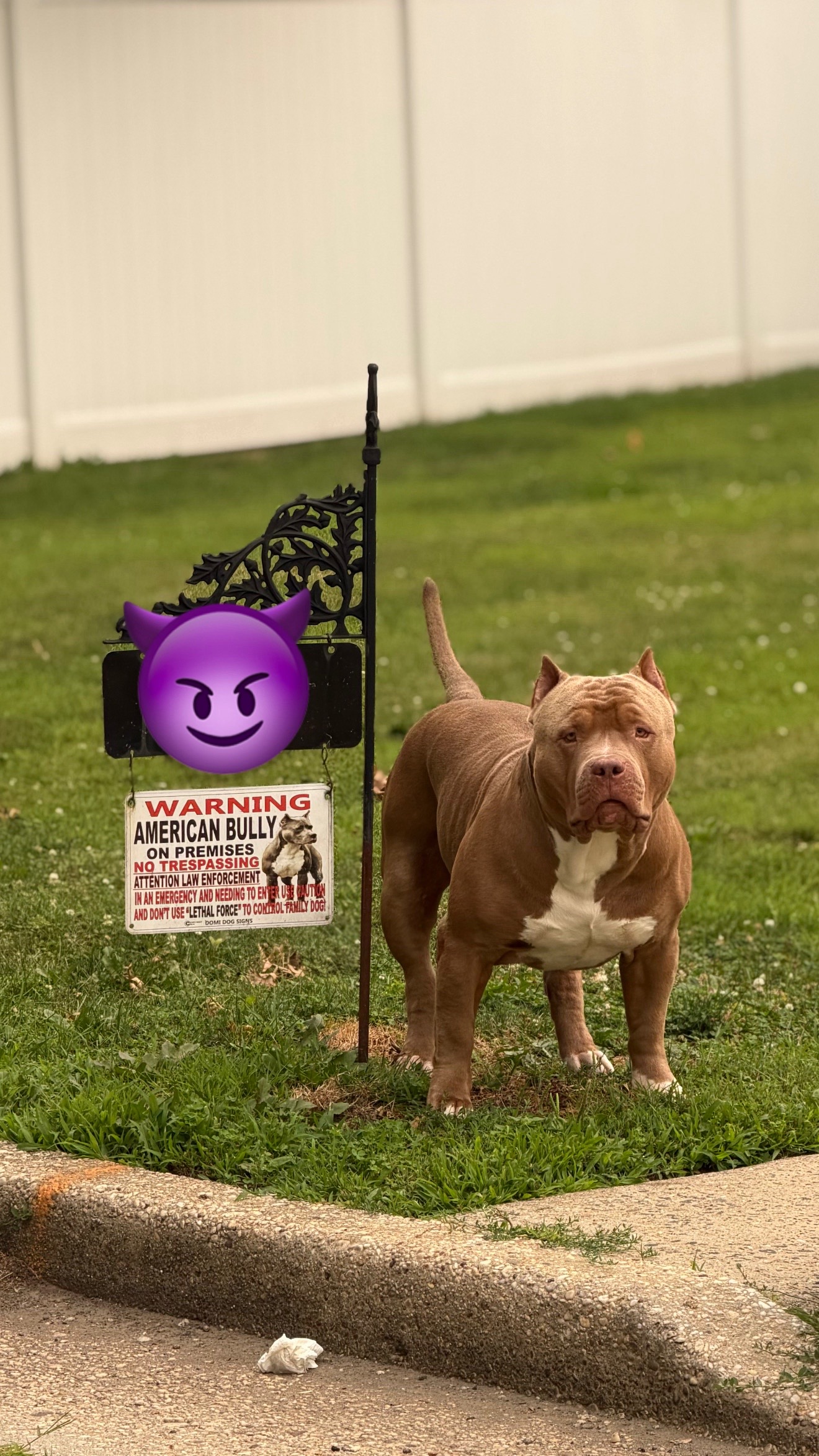 @kalsdad