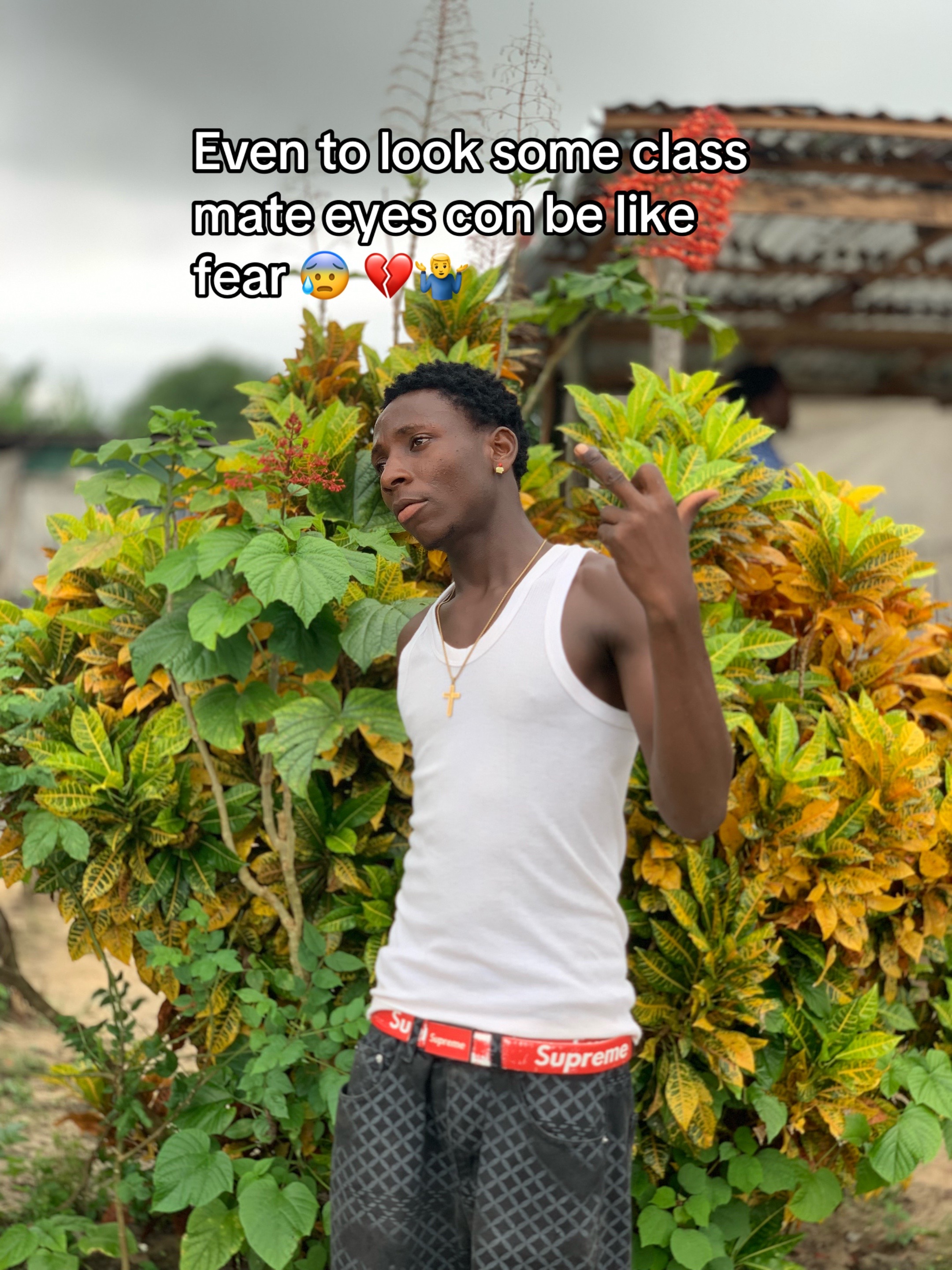 @Last Born