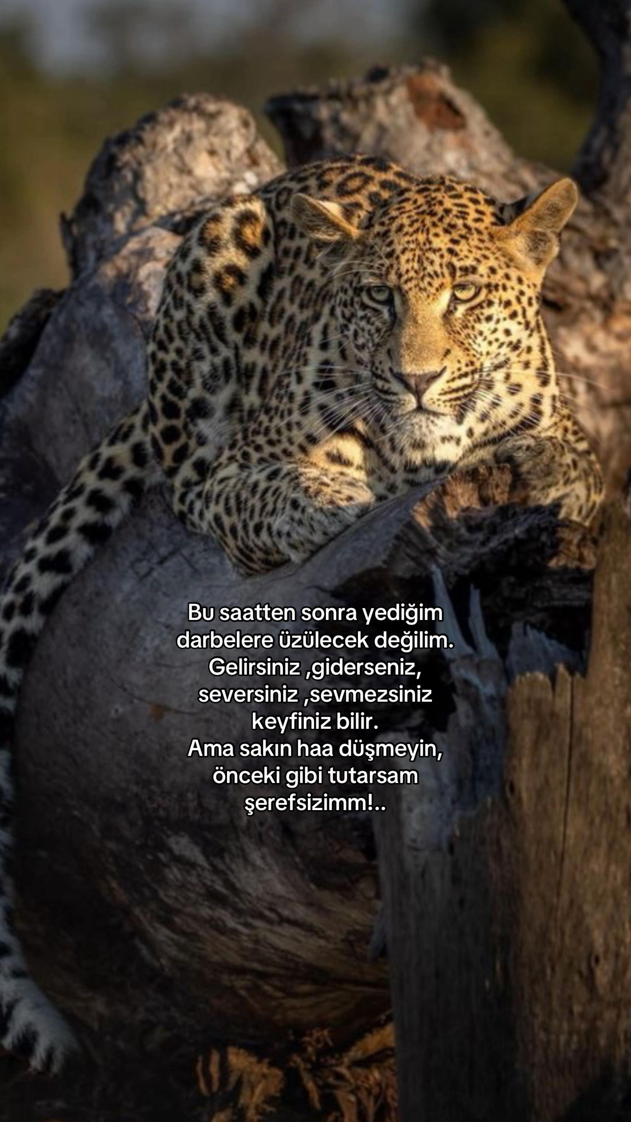 @Atarlı Kadın