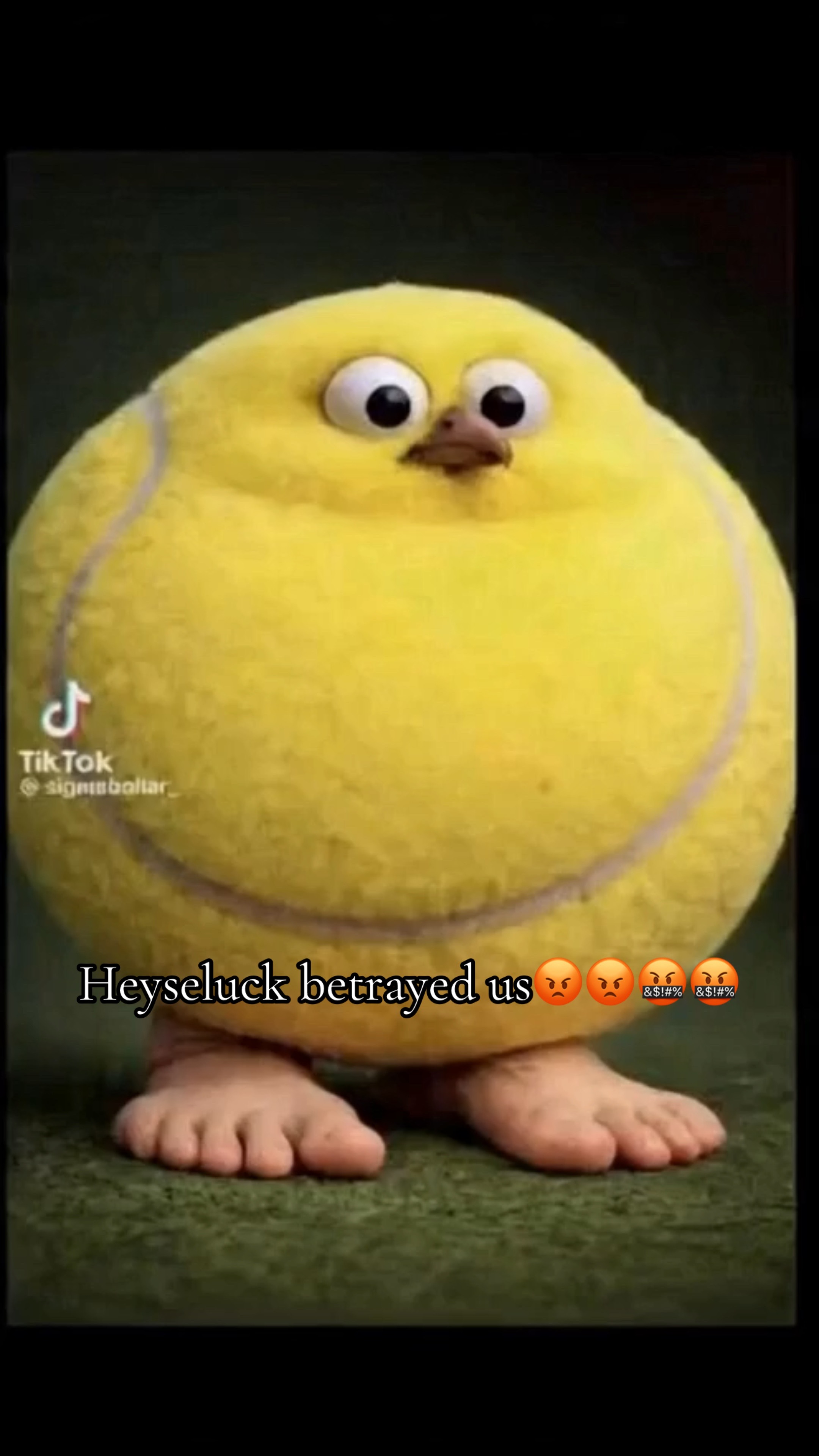 @President of fat sennis land