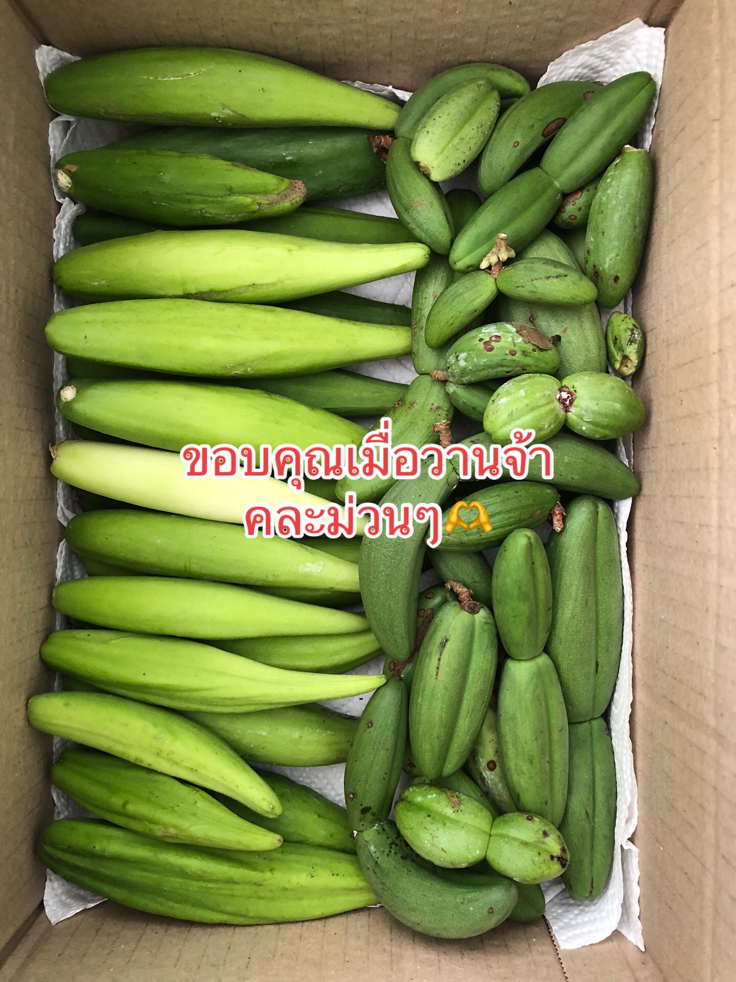 @🌿เจ๊ต่าย ขายผักป่าผักบ้าน🌿