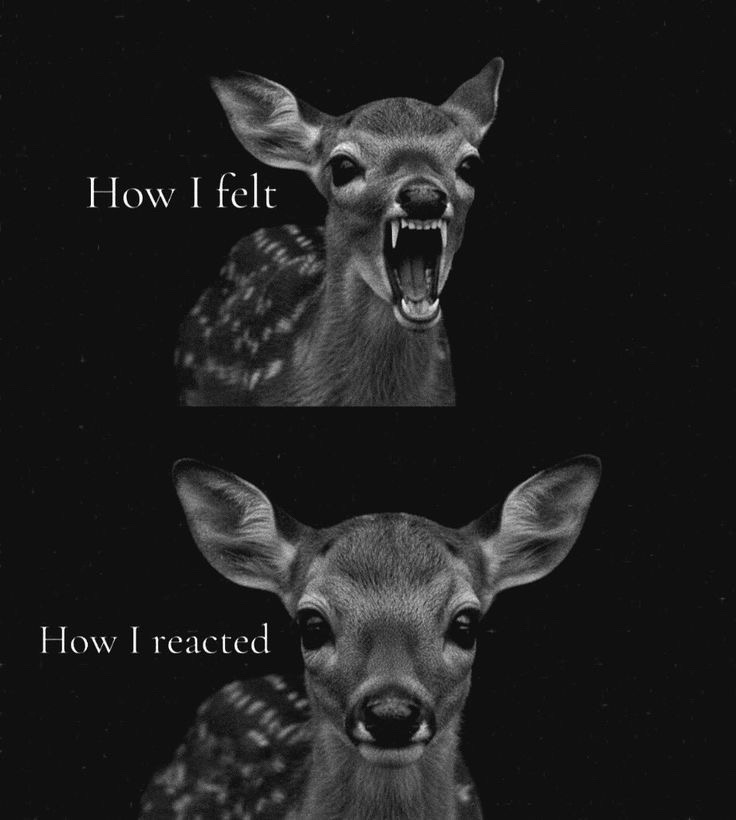 @𝑐ℎ𝑎𝑖ᥫ᭡