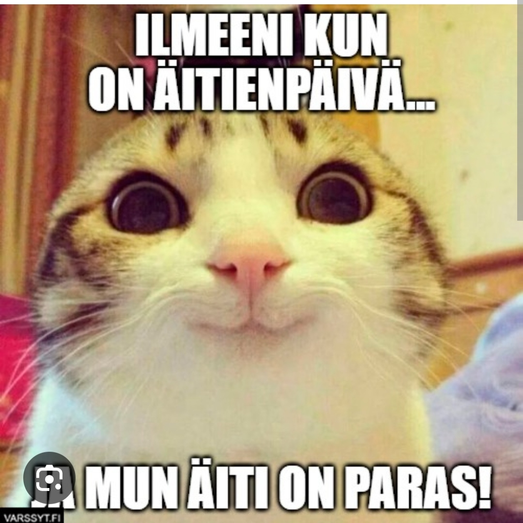 @Maija