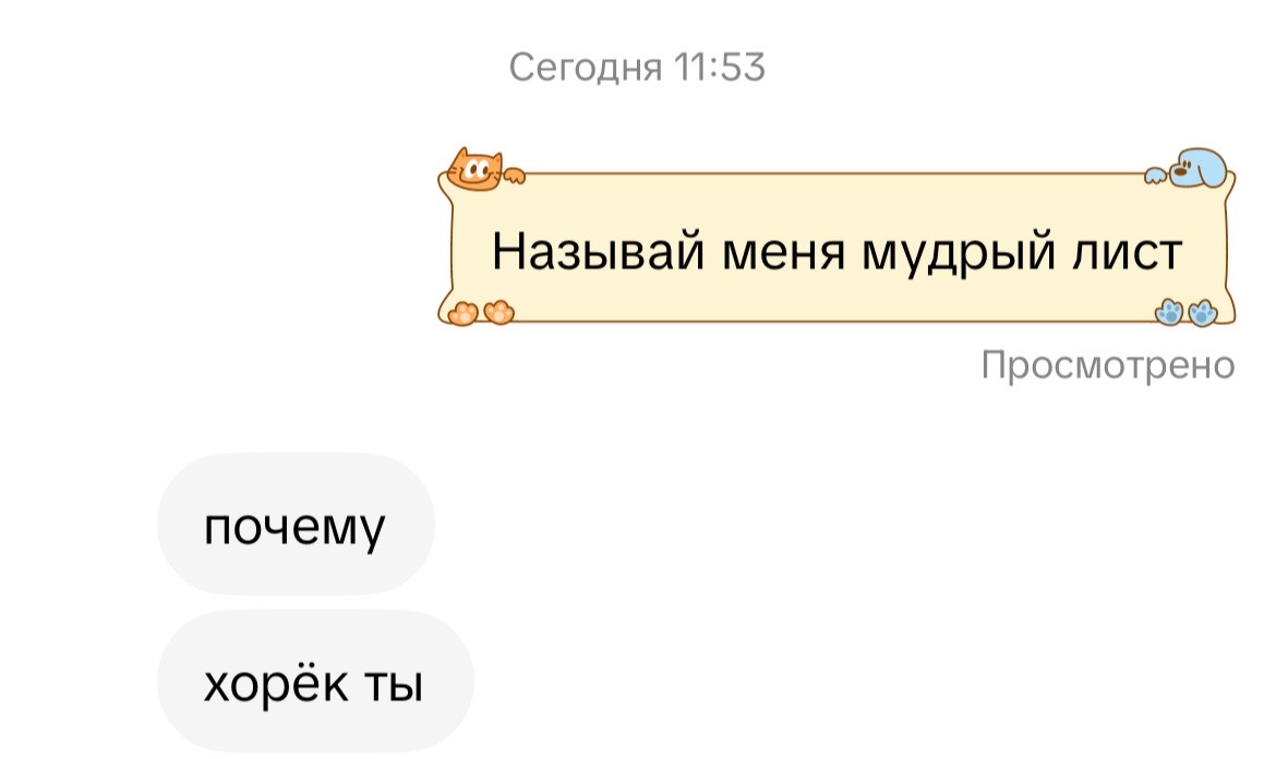 @кассиии🐈⬛