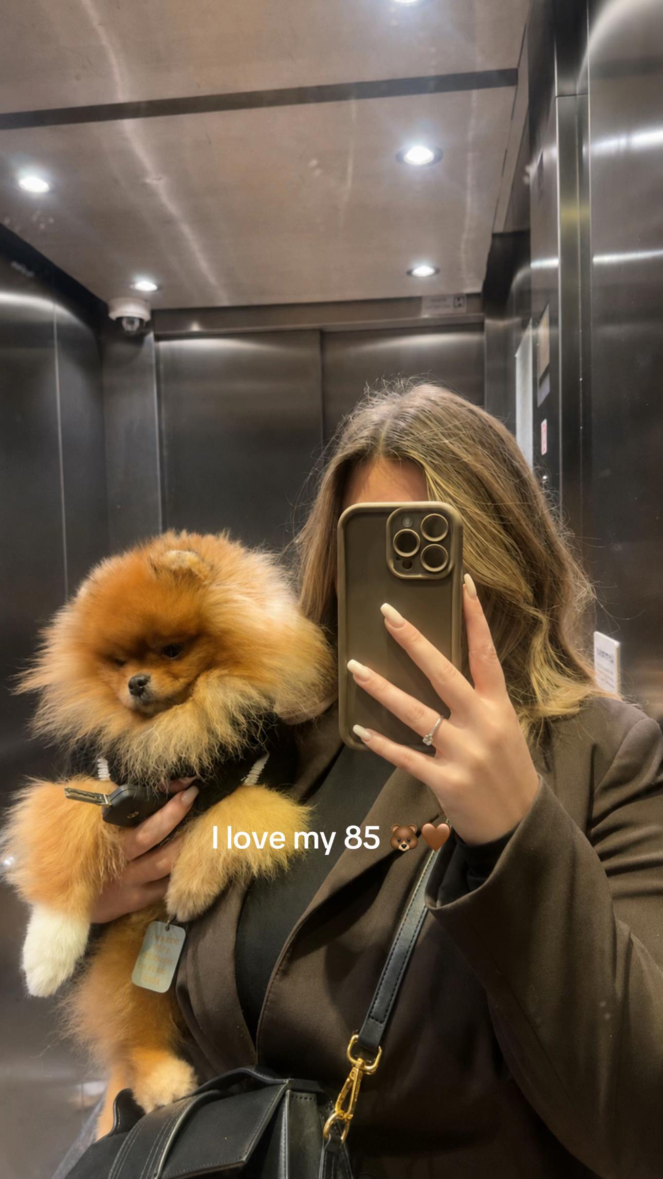 @amvrtic