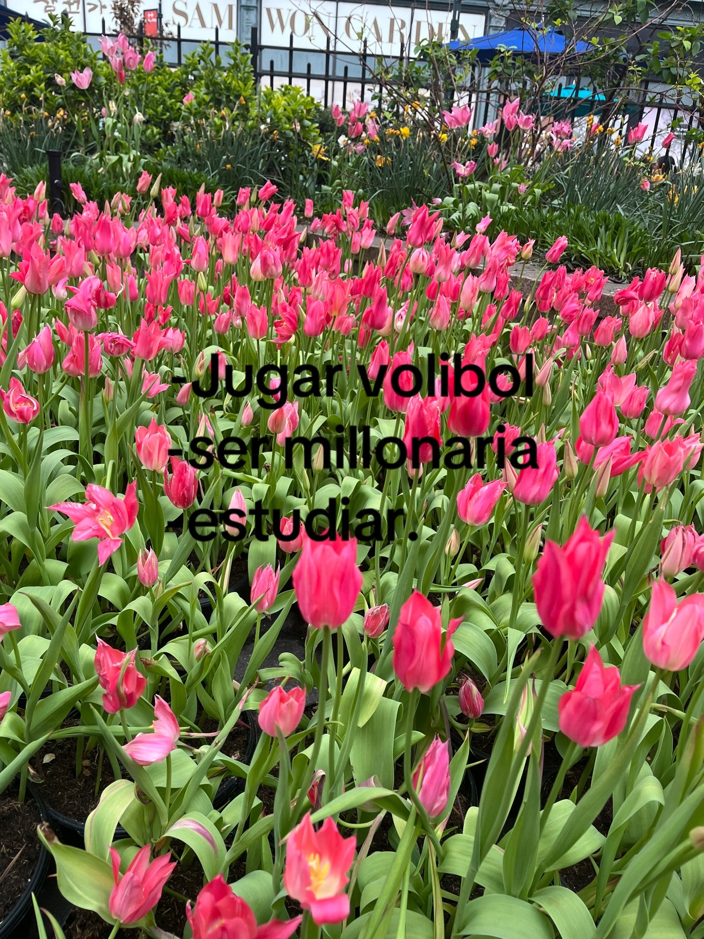 @🪼ℋℰℒℰ𝒩 🪼
