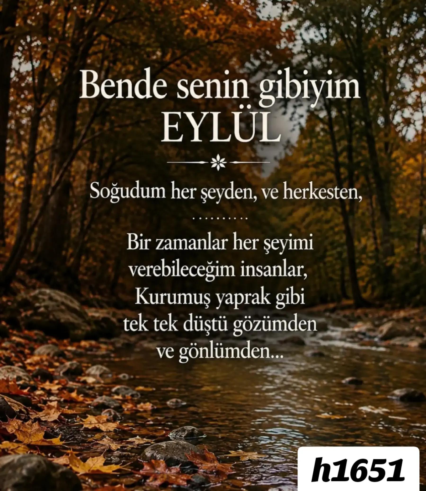 @🇹🇷51💙 HÜSEYİN💛16🇹🇷
