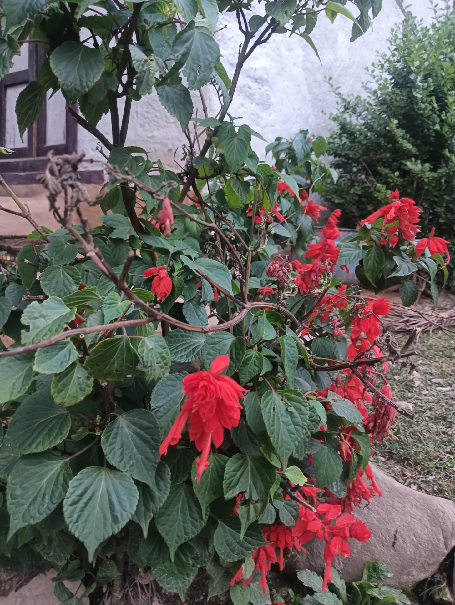@अभाष यात्री💖