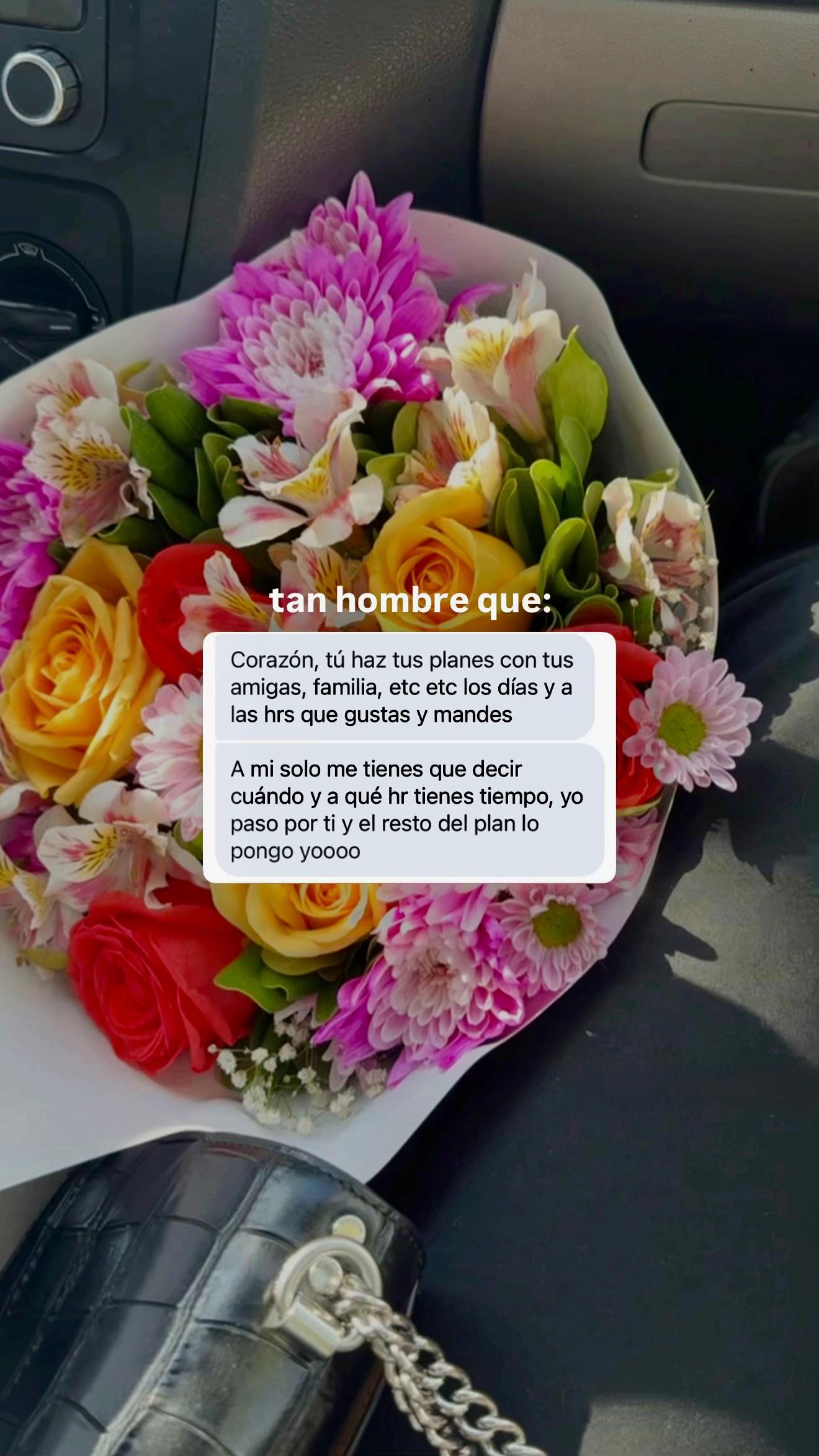 @Ana Fugitiva