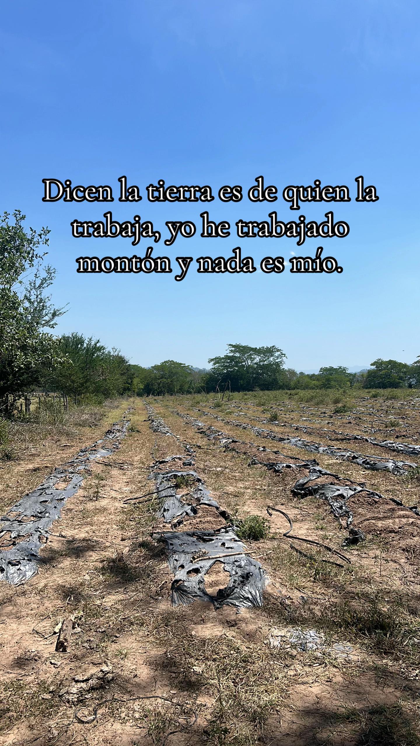 @Yesenia Marcia