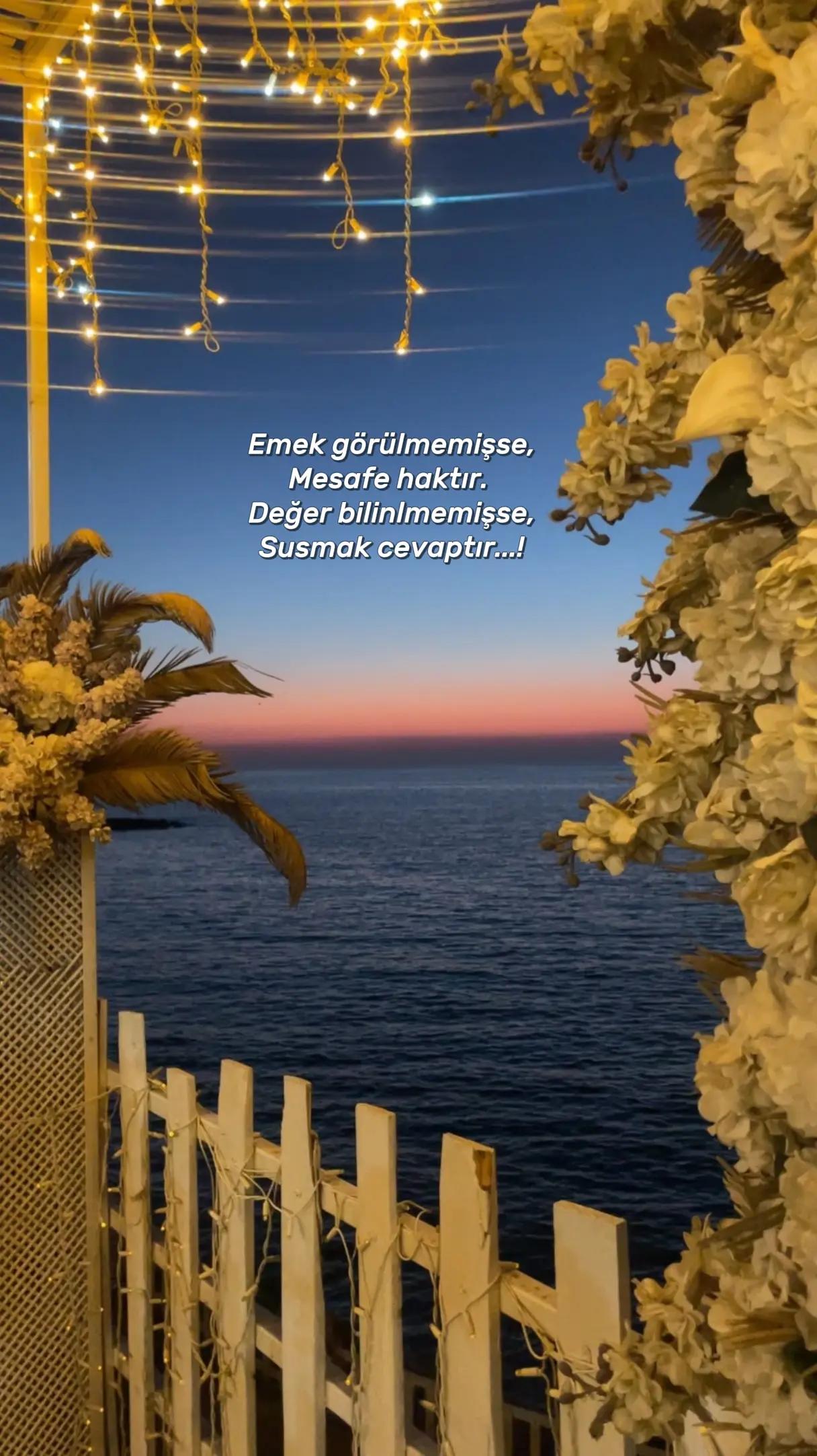 @Pamuğun_günlüğü31