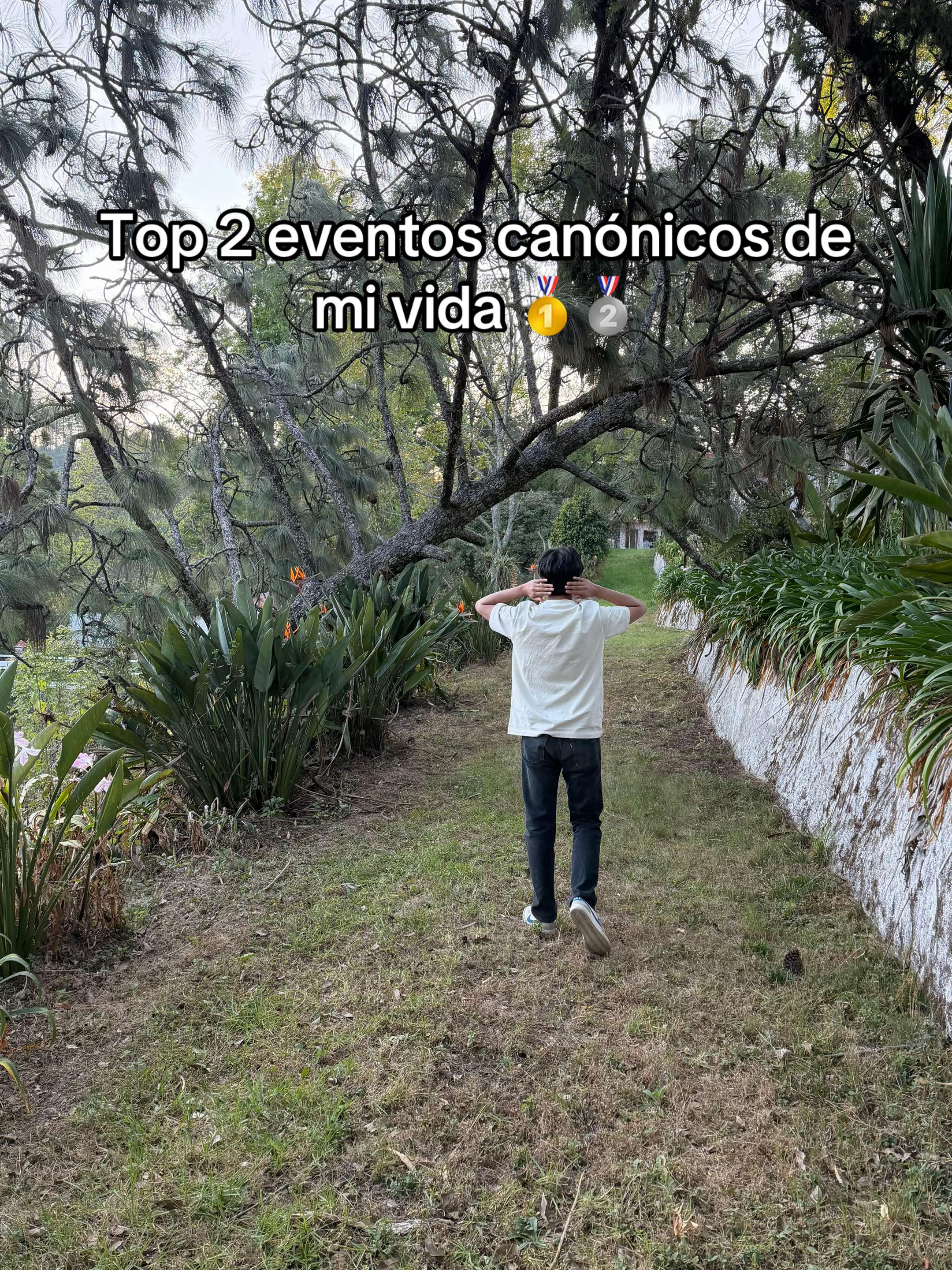 @Fernando Jass