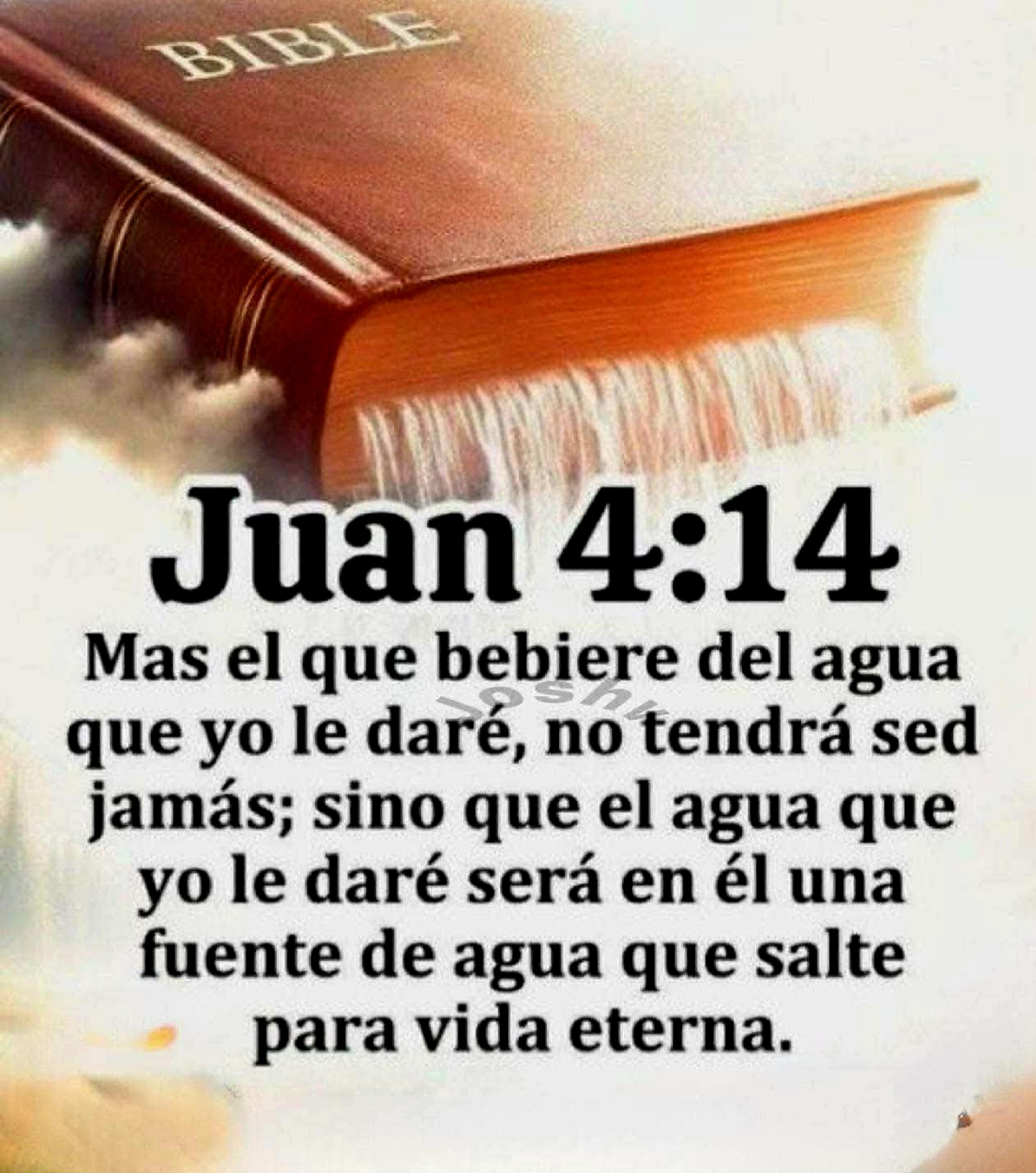@hola, hola