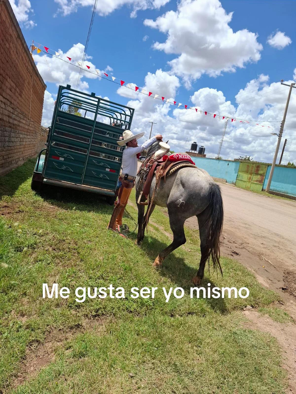 @Cesar Medina