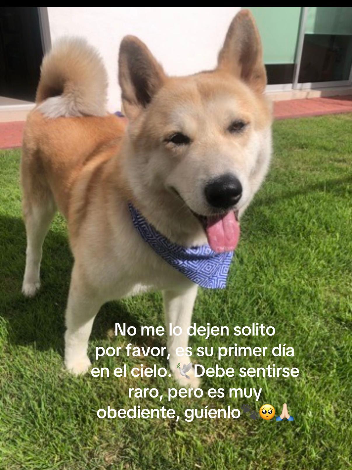 @Celeste