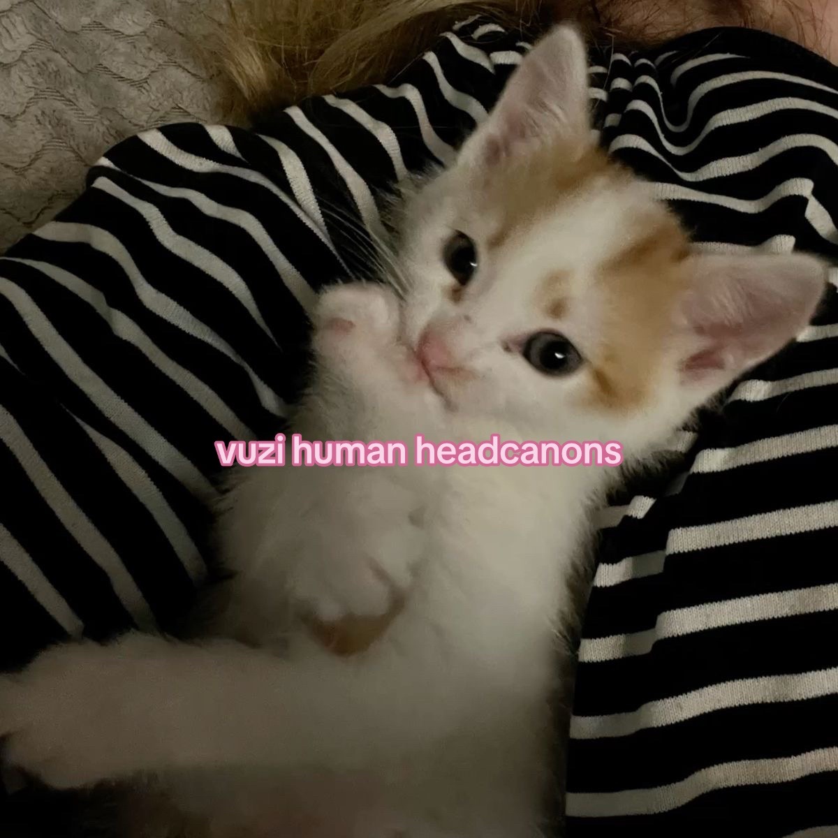 @bee .ᐟ ( VUZI #1 FAN ) ⋆˚
