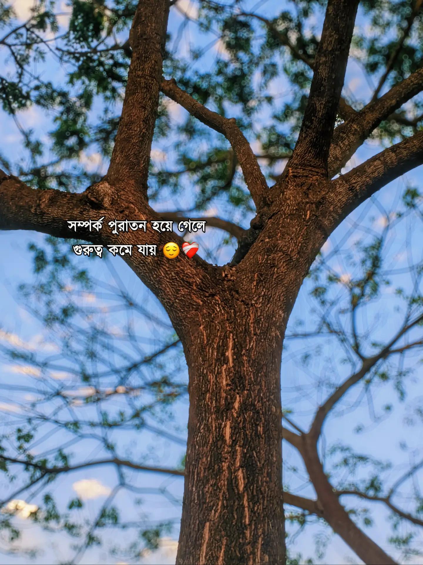 @&mdash;͞ʙᴏsᴏꪀ  !&iexcl;