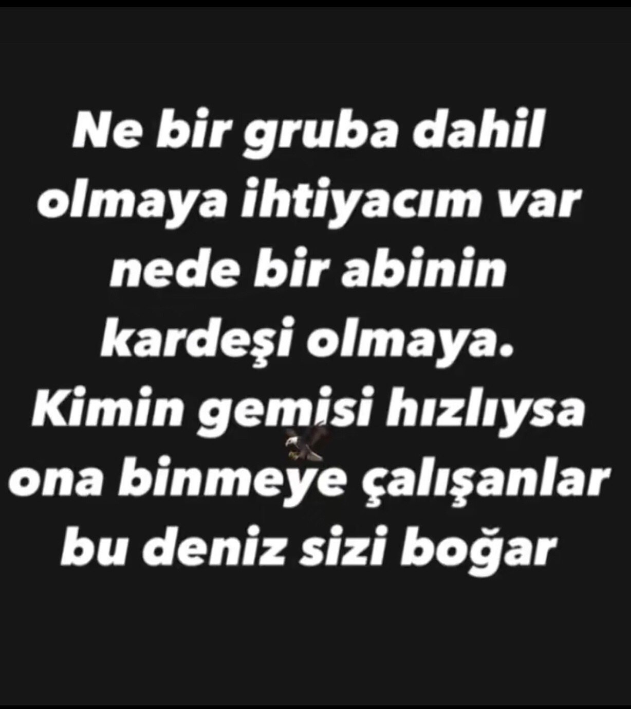 @mehmet_bitgen.6363