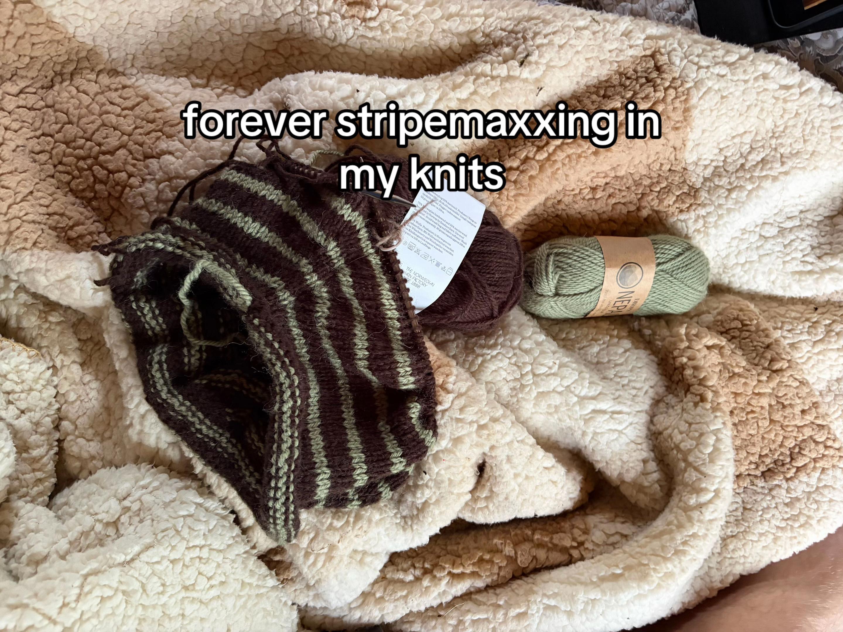 @bayla