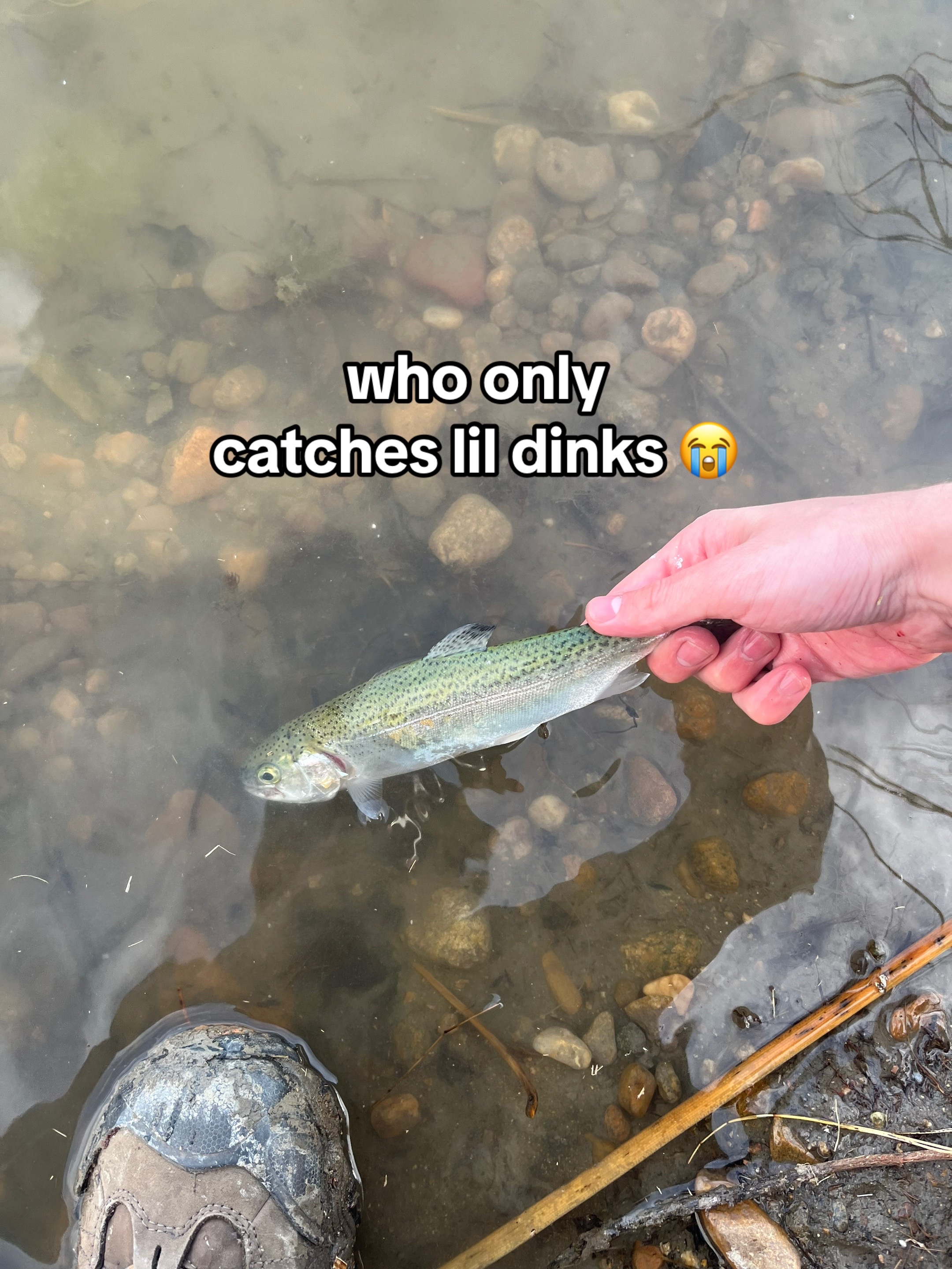 @Fish The East