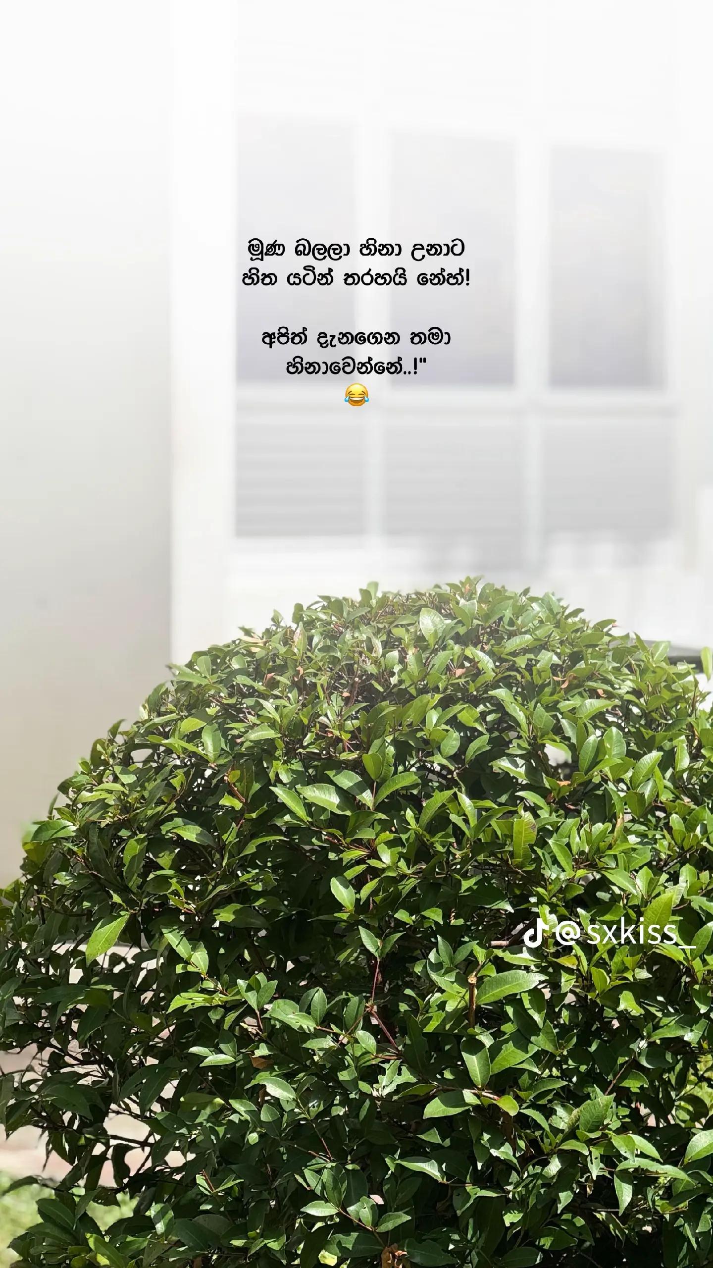 @❤️🇯🇴කවී කවී🇯🇴❤️