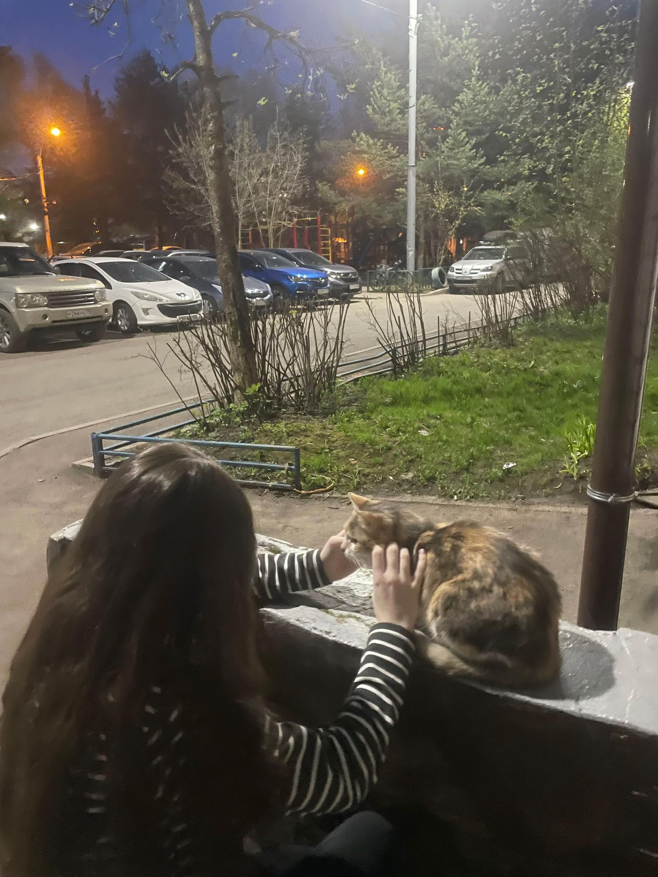 @ywlxx