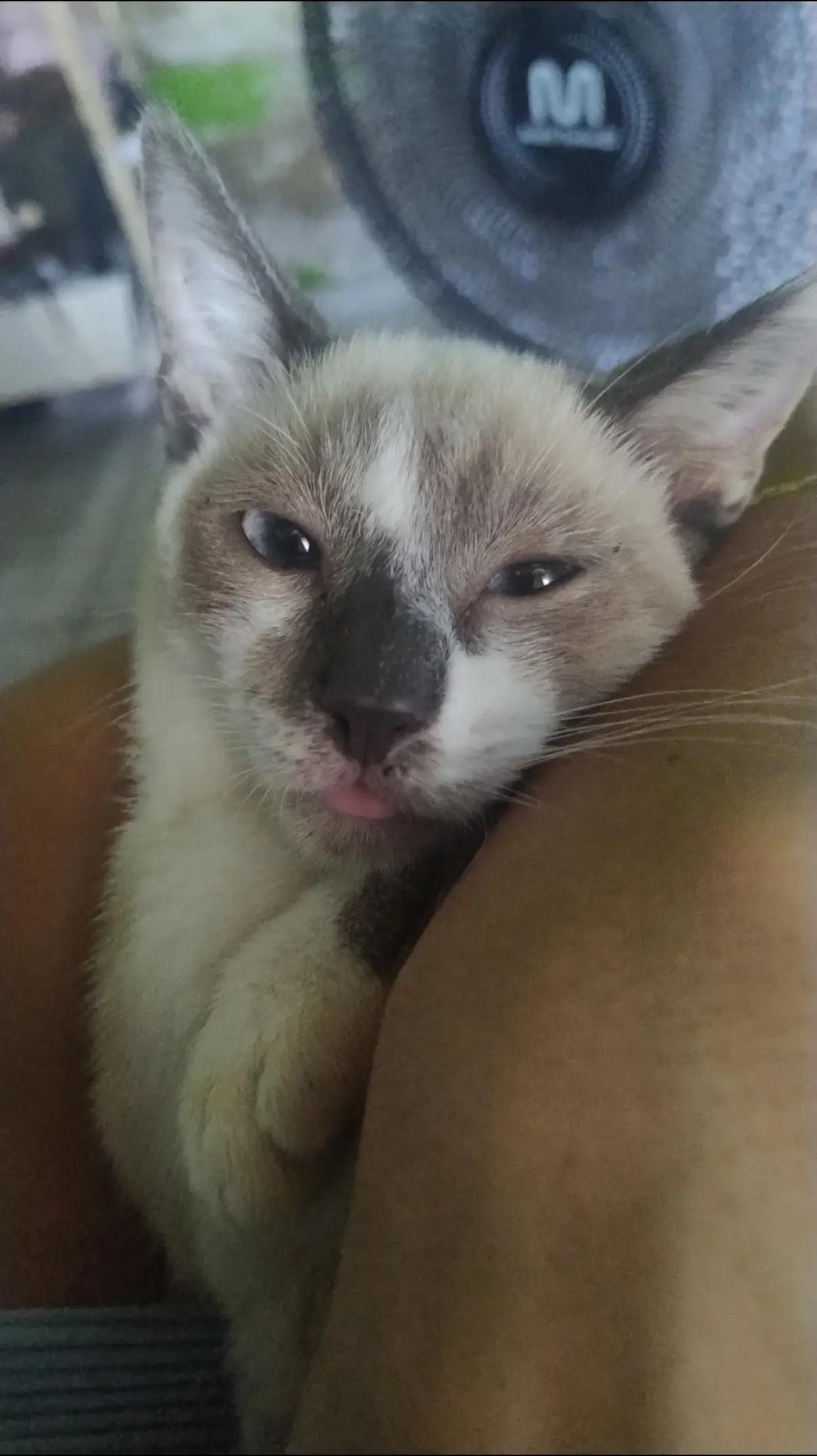 @Nay Araújo