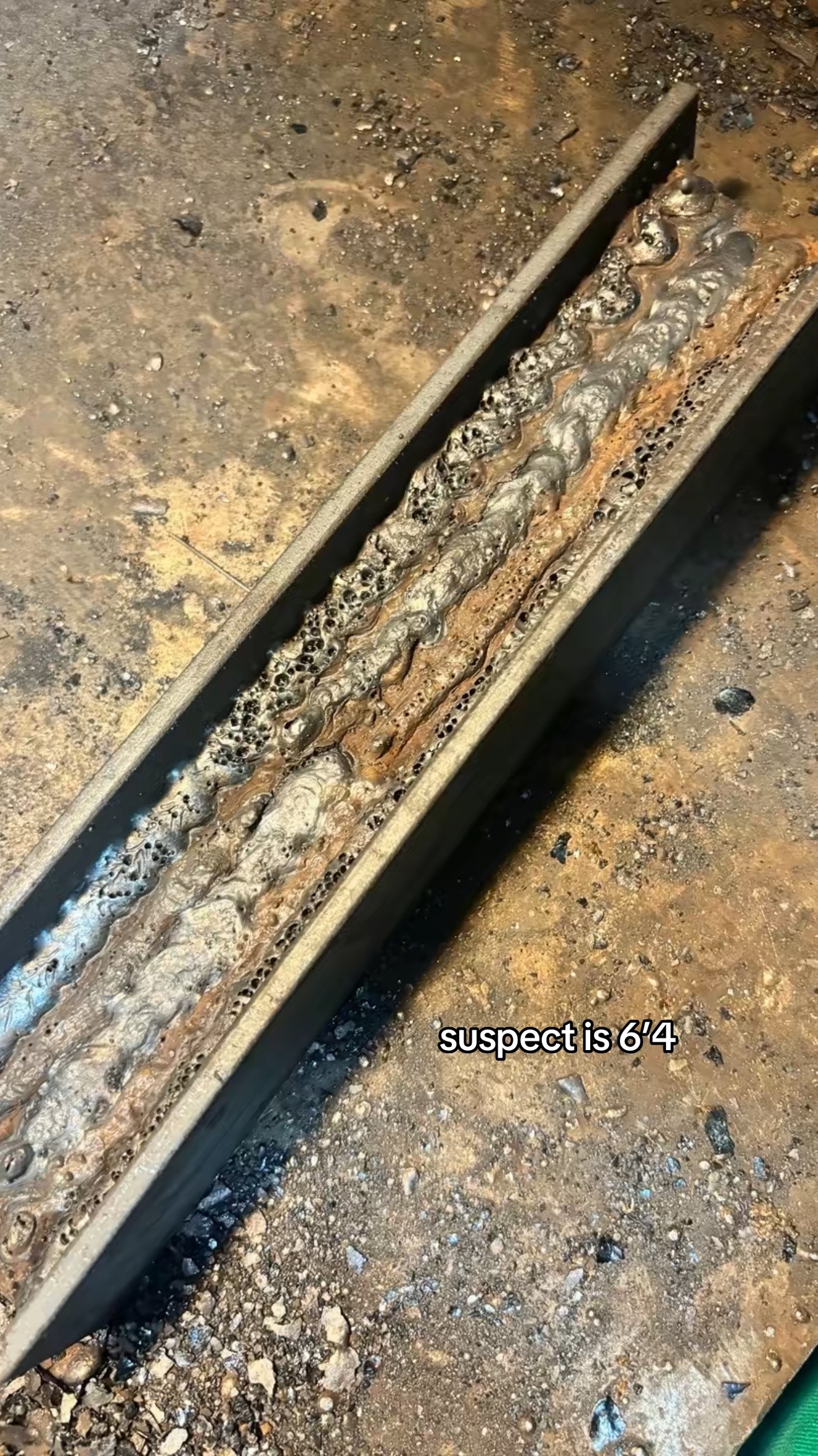@🕷️
