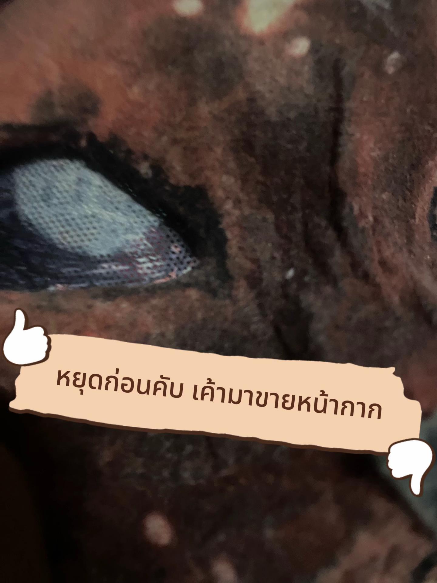 @๐ฉ๐ถ๐๐ถ๐๐โ