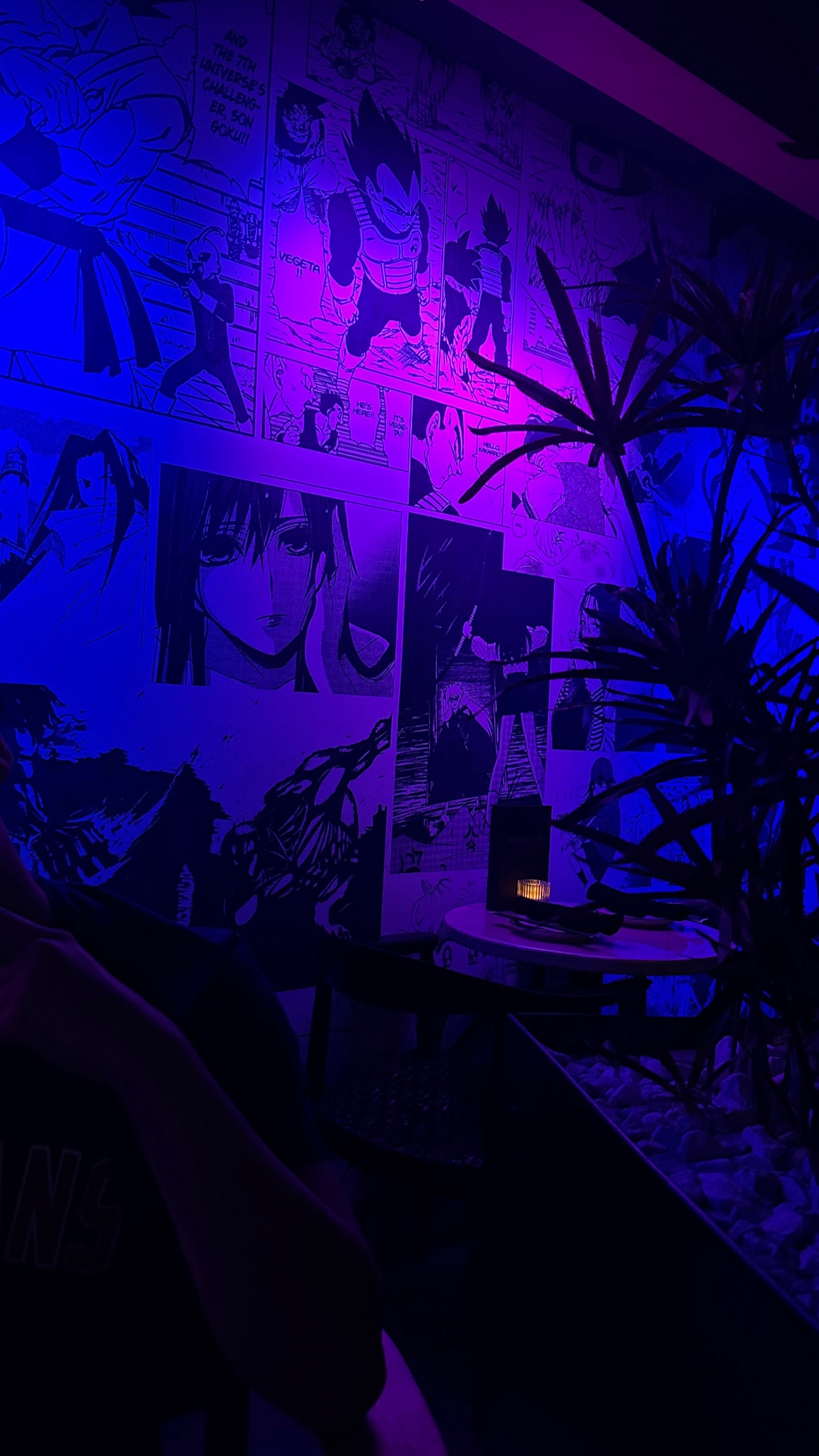 @𝑱𝑼𝑰𝑪𝒀 𝑱