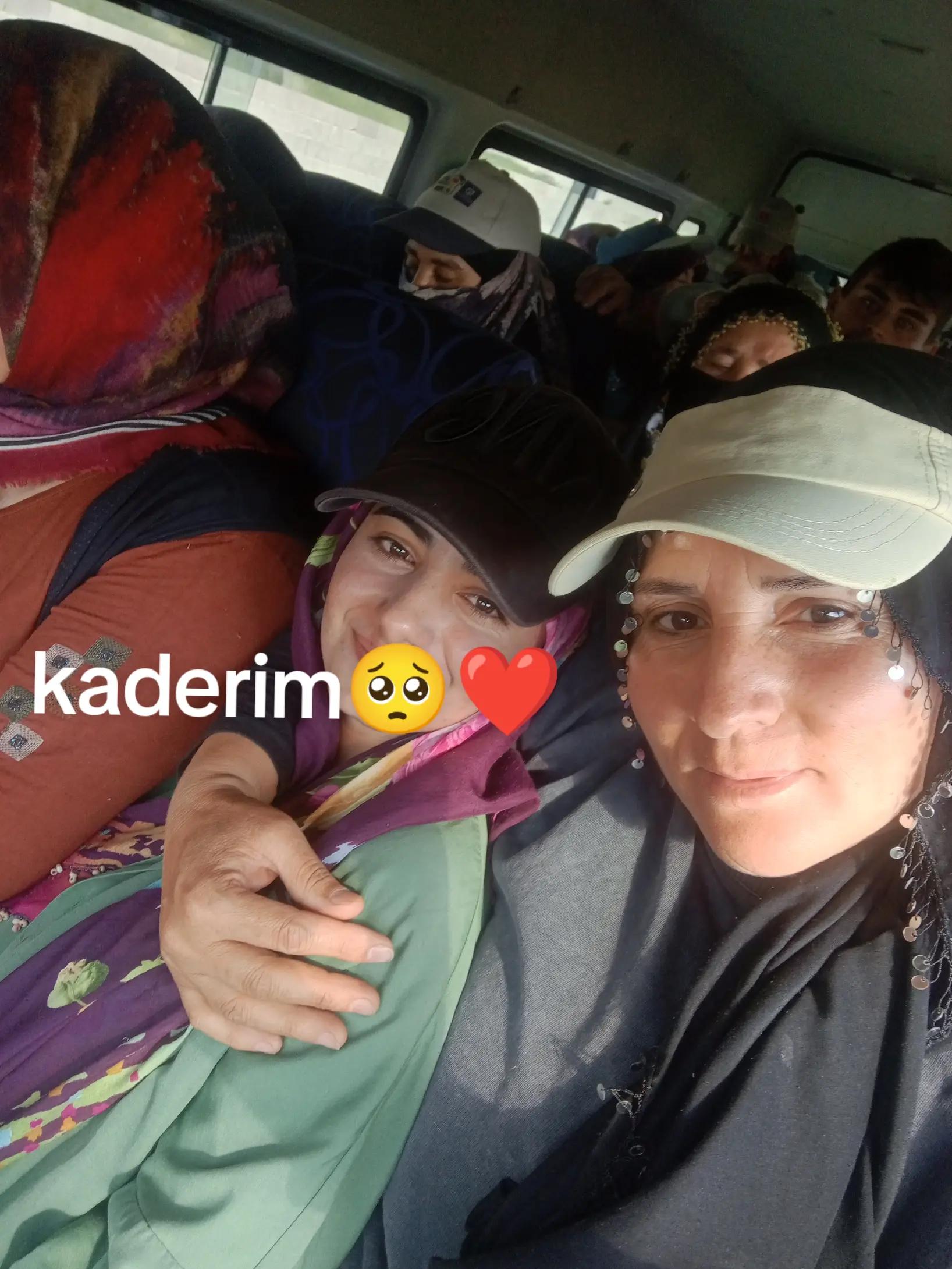 @MELOCaN