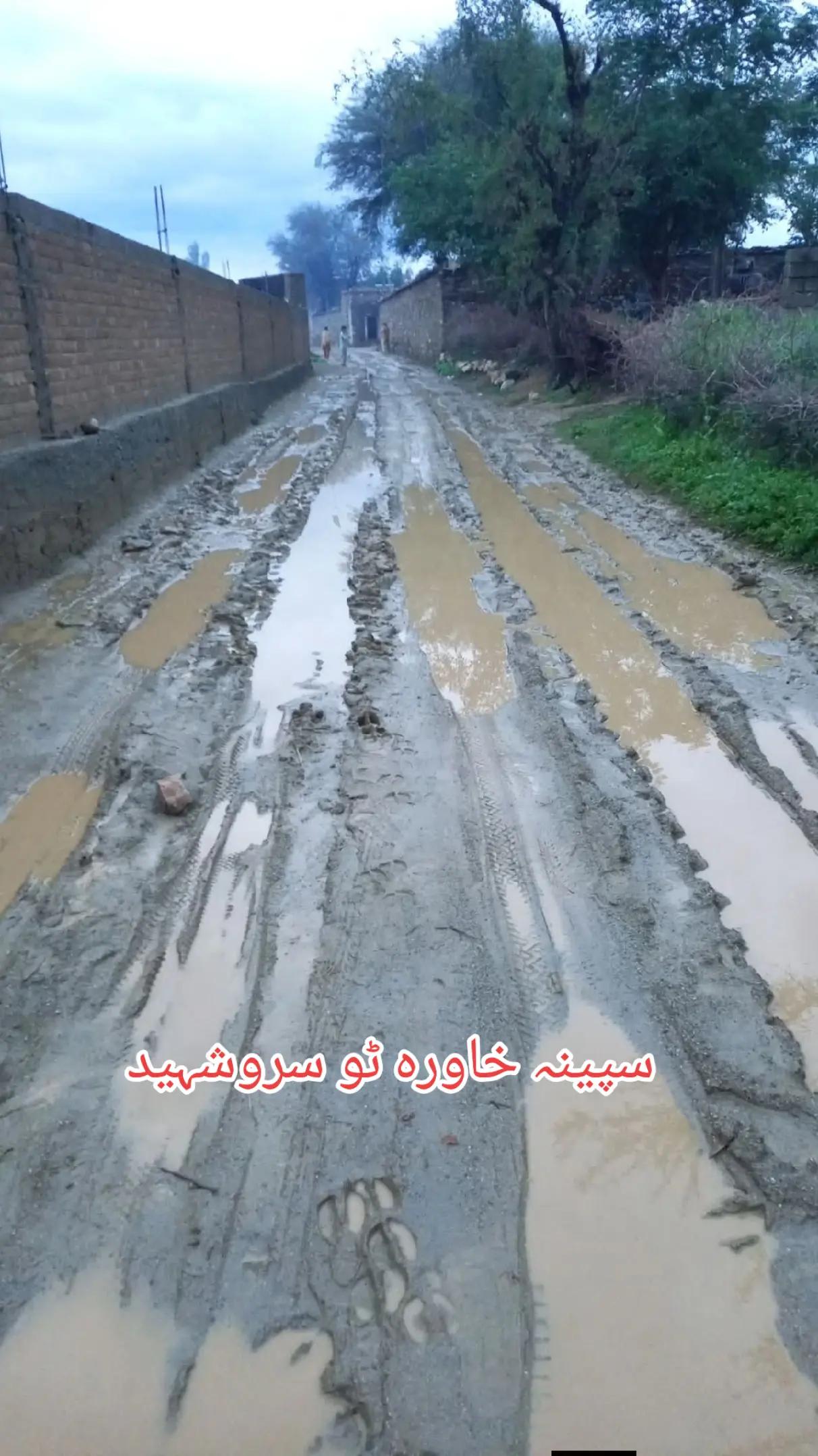 @Arif Jan