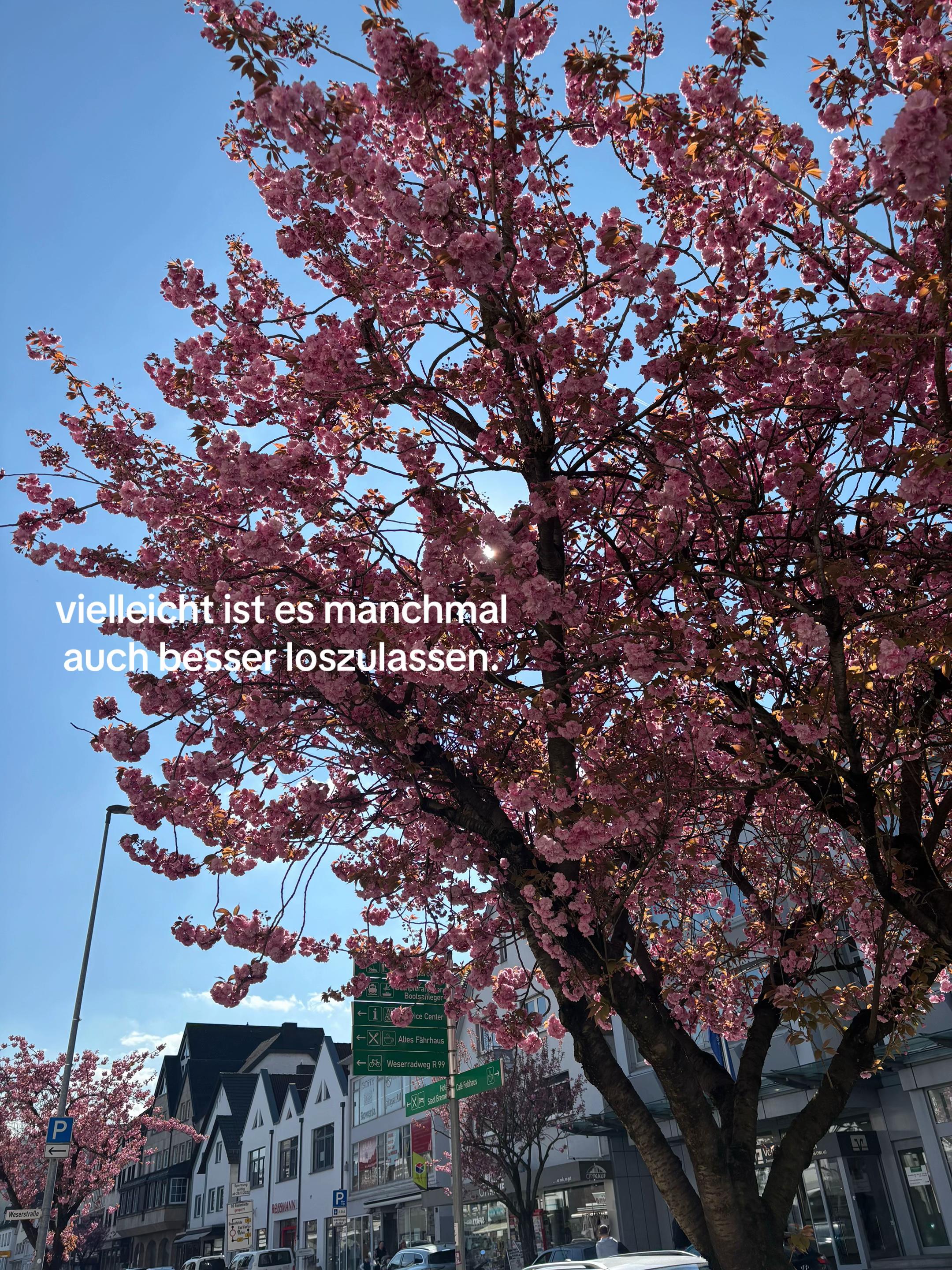 @๐๐โฏ๐๐พโฏ