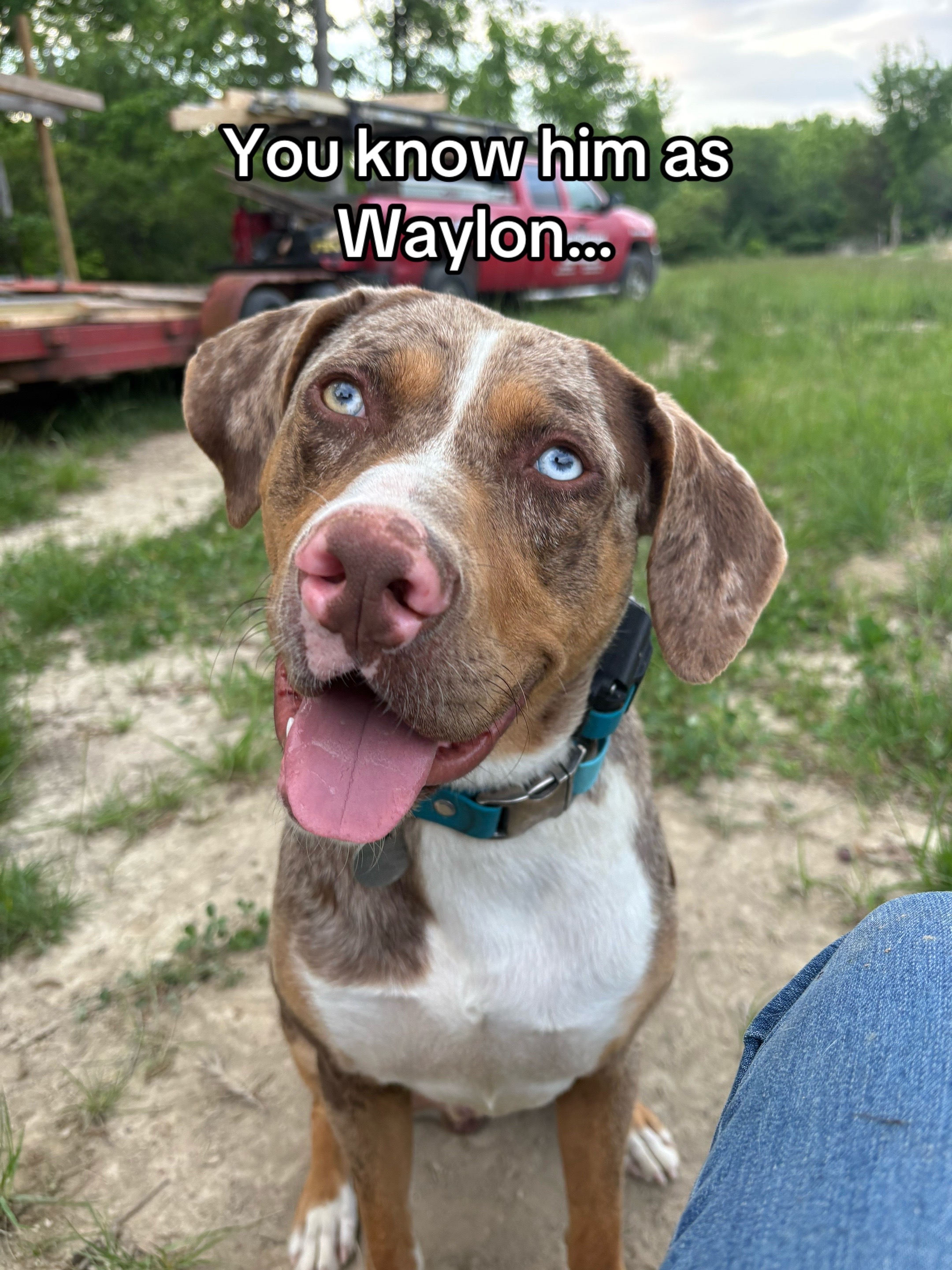 @Waylon