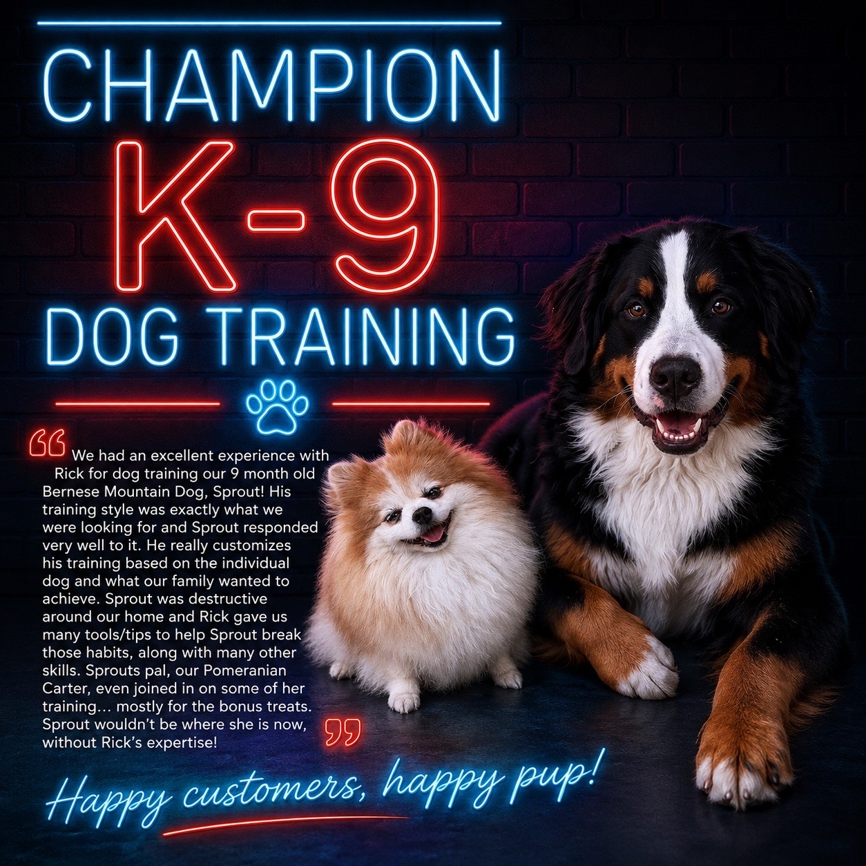 @ChampionK9DogTraining