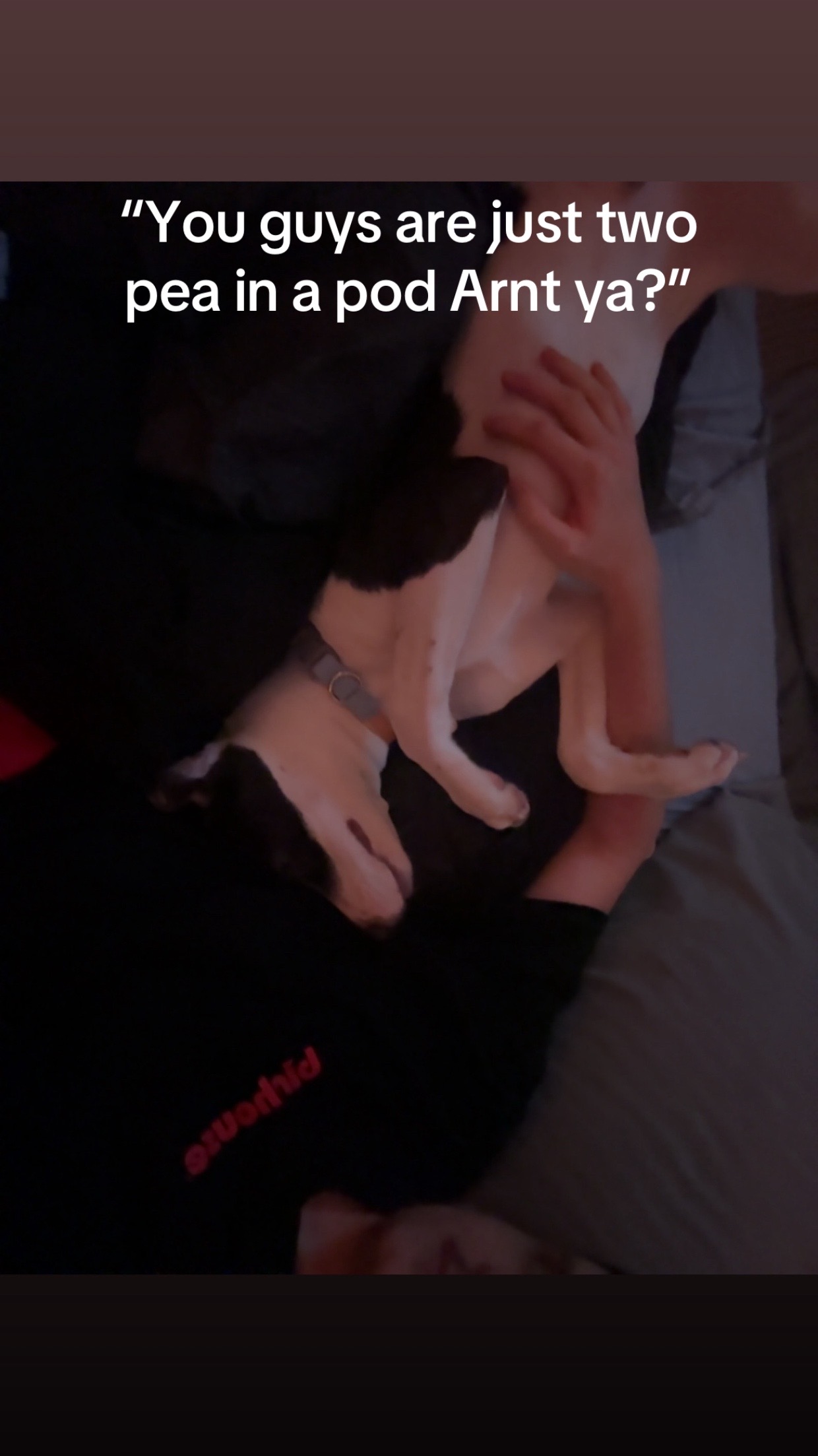 @andrewtf