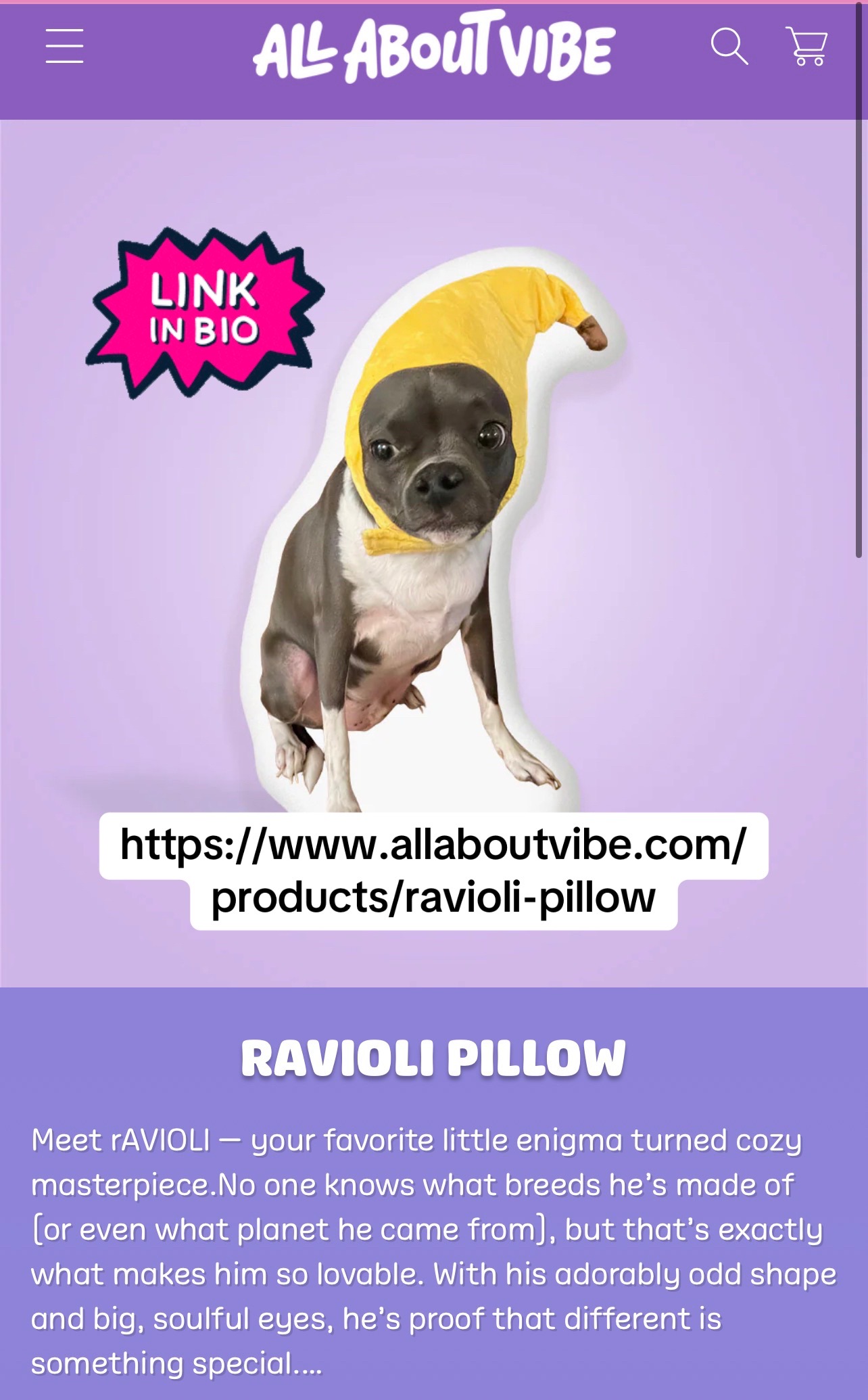 @ravioli.linguini