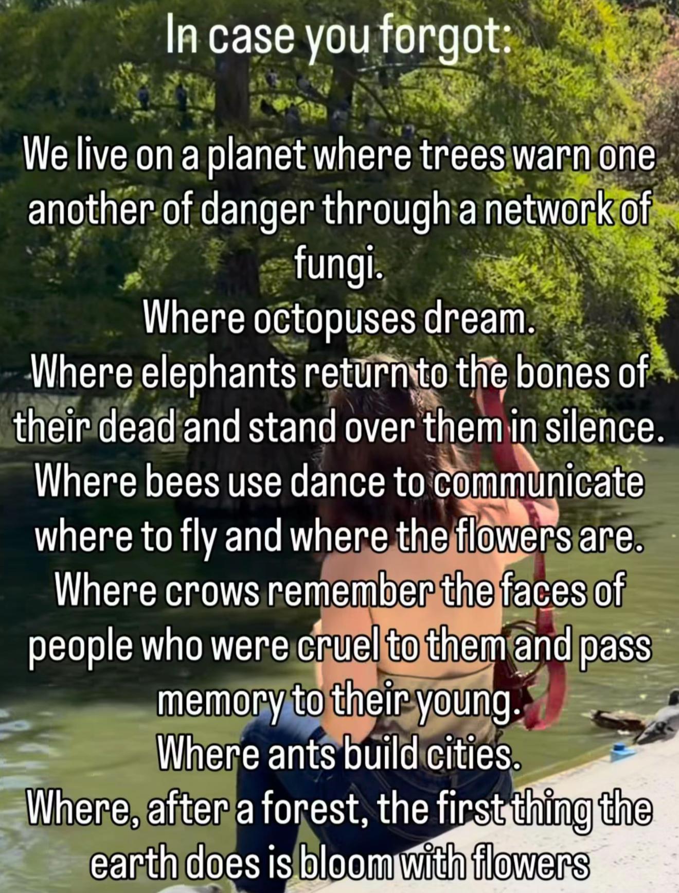 @Earth angels 1 stop shop