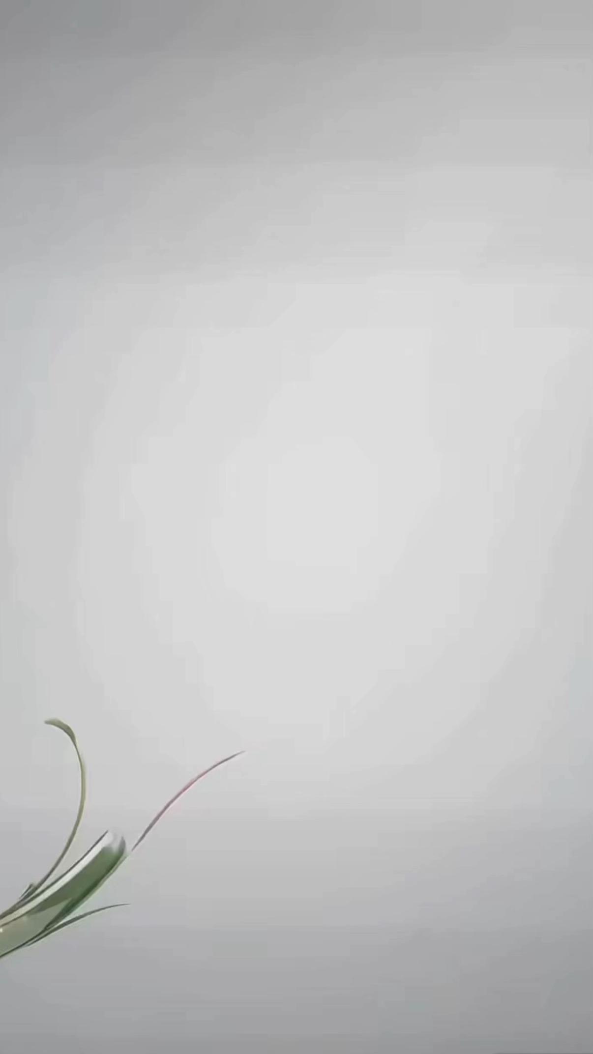 @𝓁𝒶𝓊𝓇𝒶🪽🧁