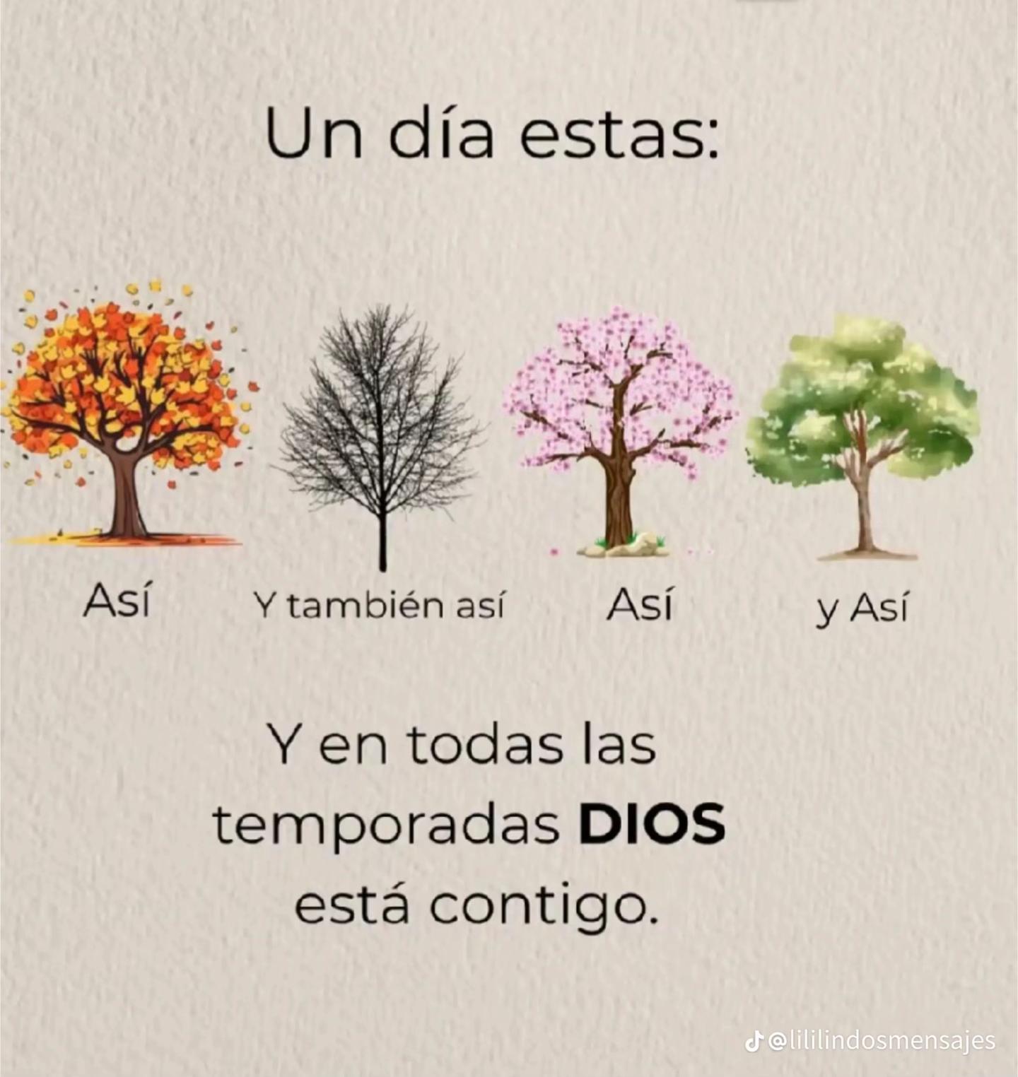 @MarceGiron04