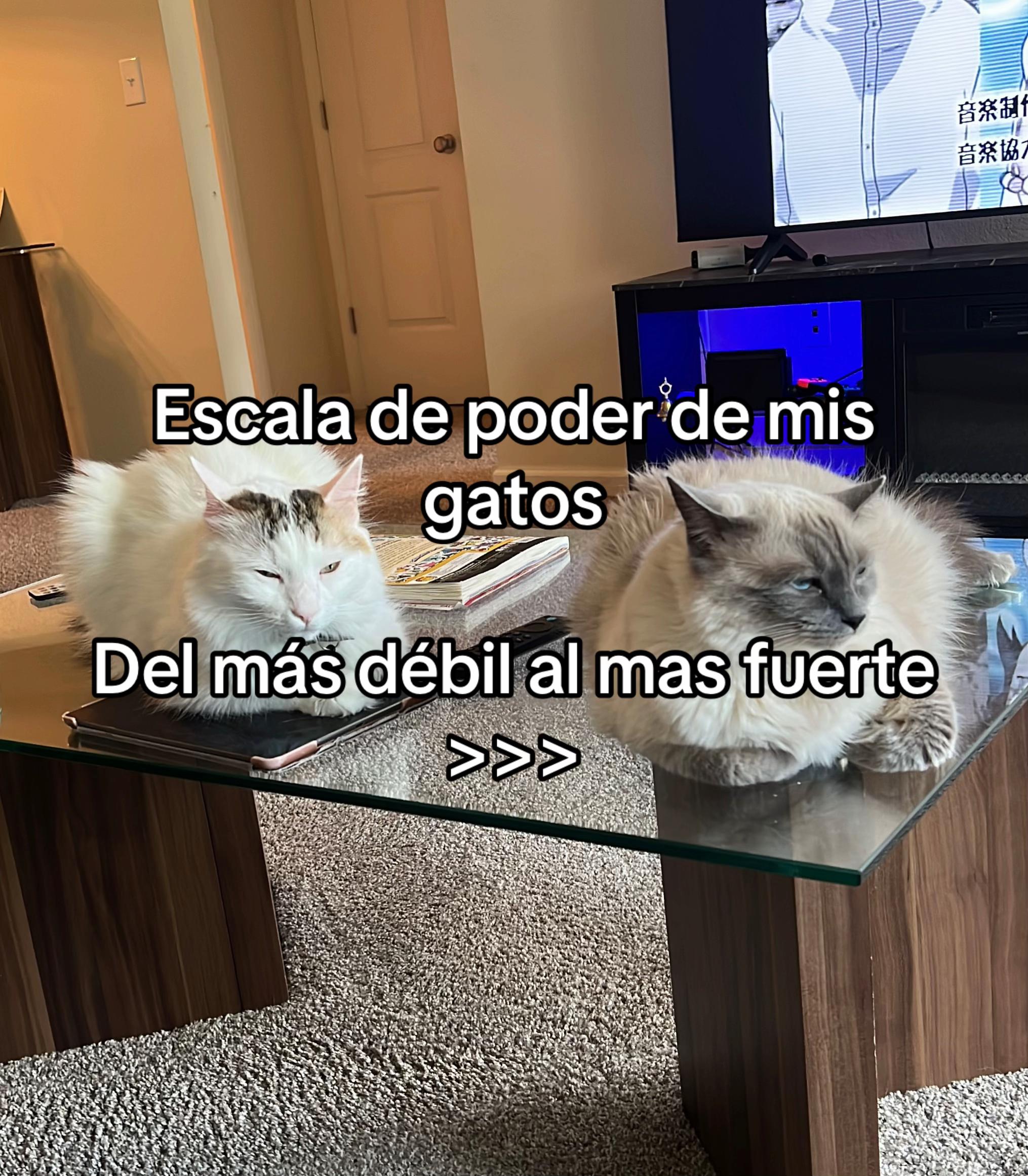@Mayra Veronica