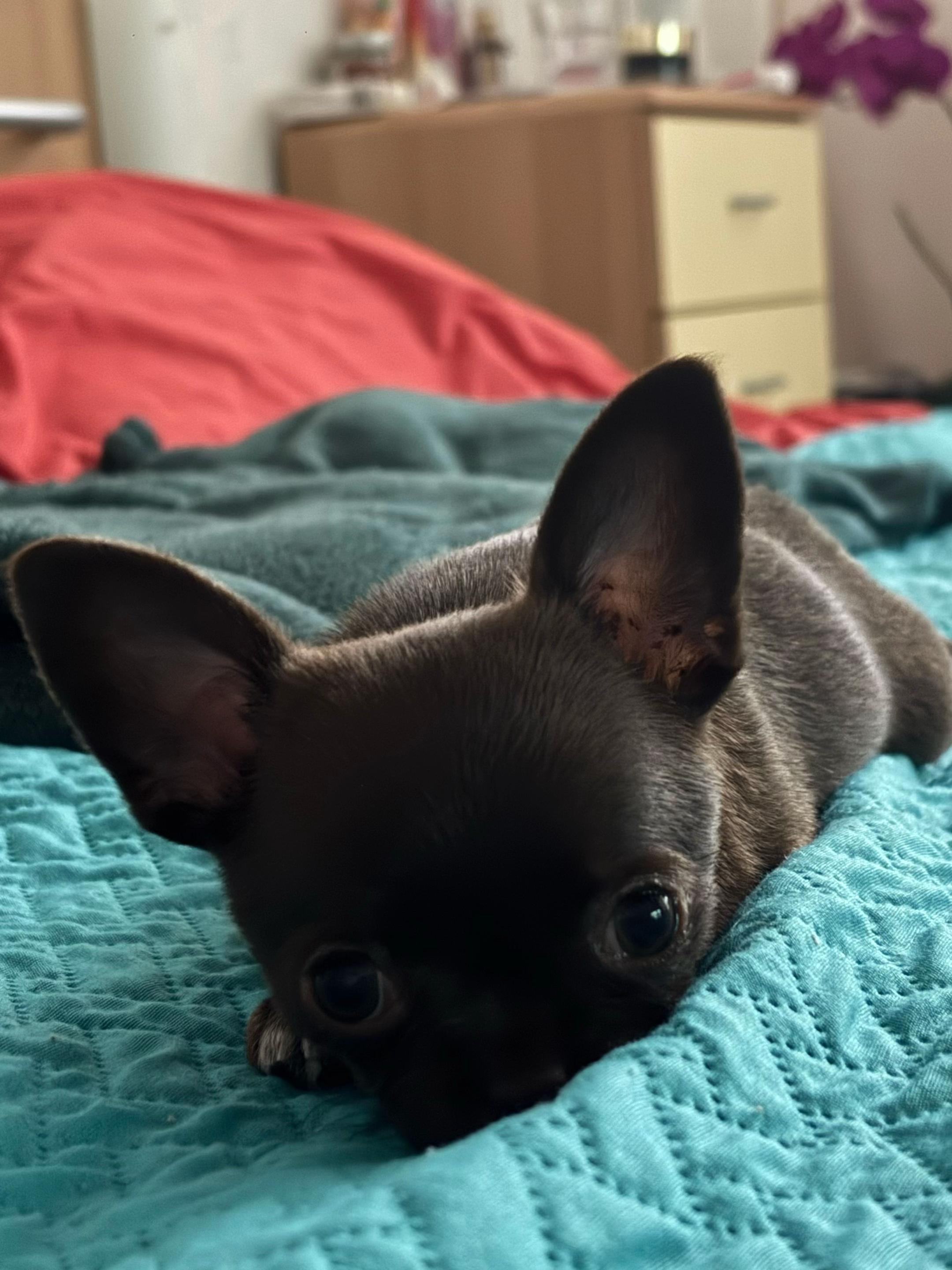 @Машка