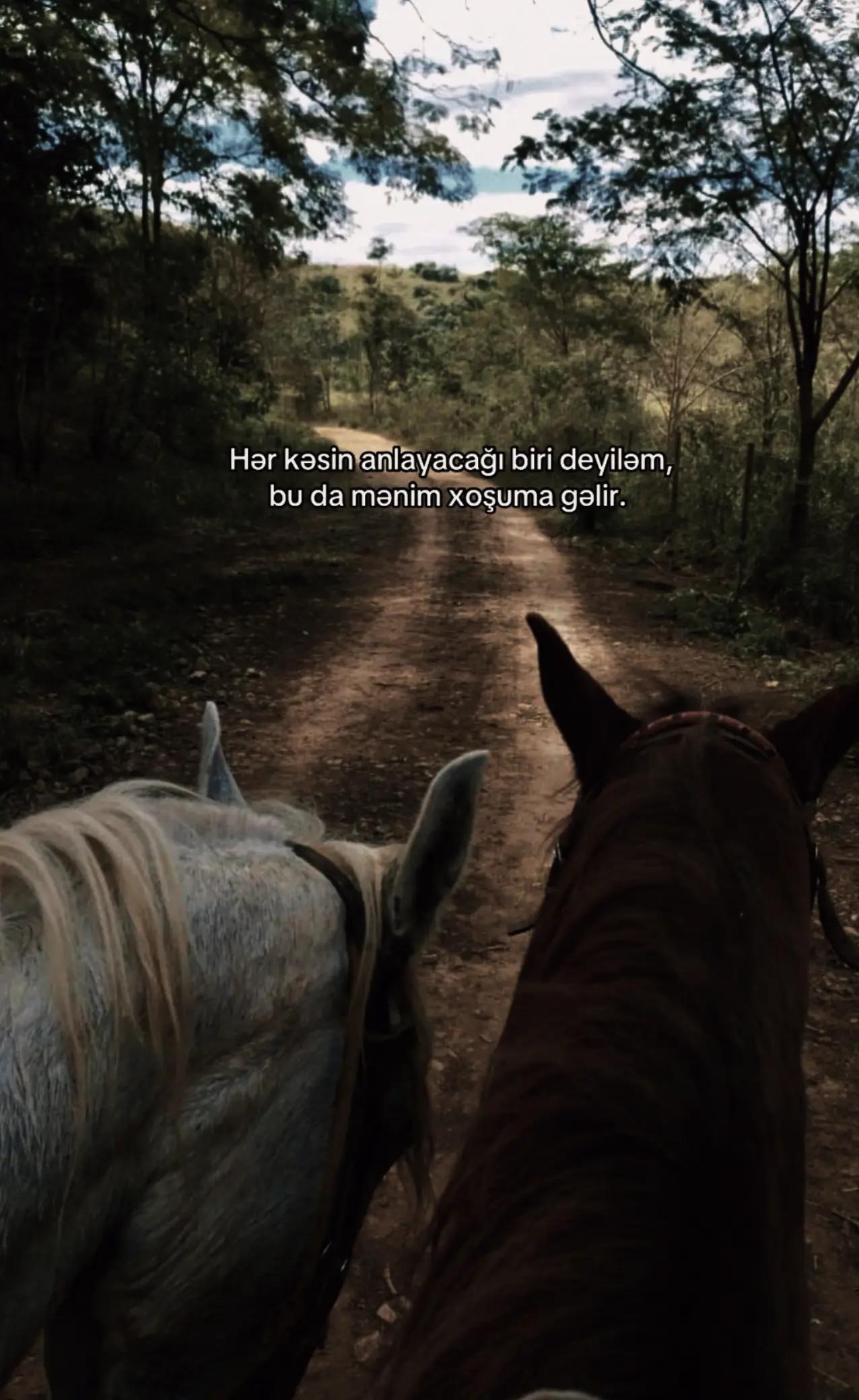 @♌︎