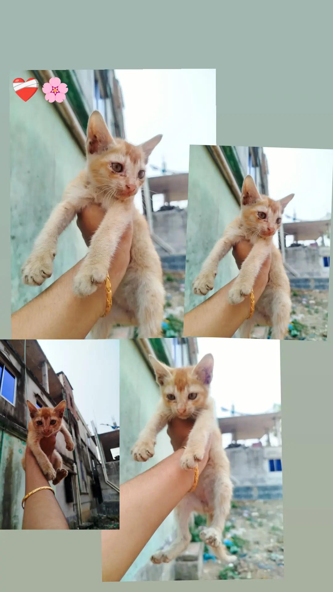 @đˇASHA Moniđˇ