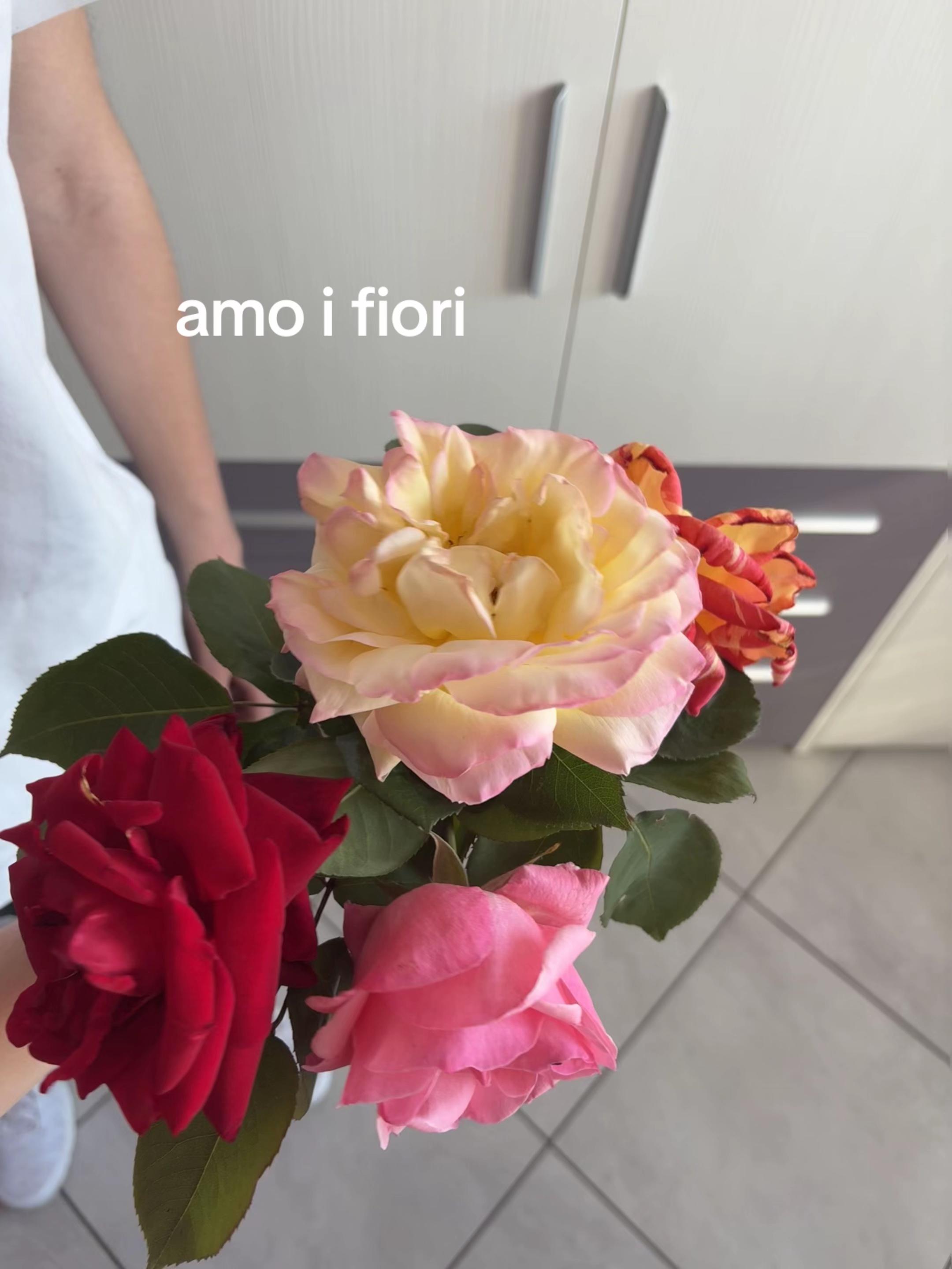 @la.giulsss