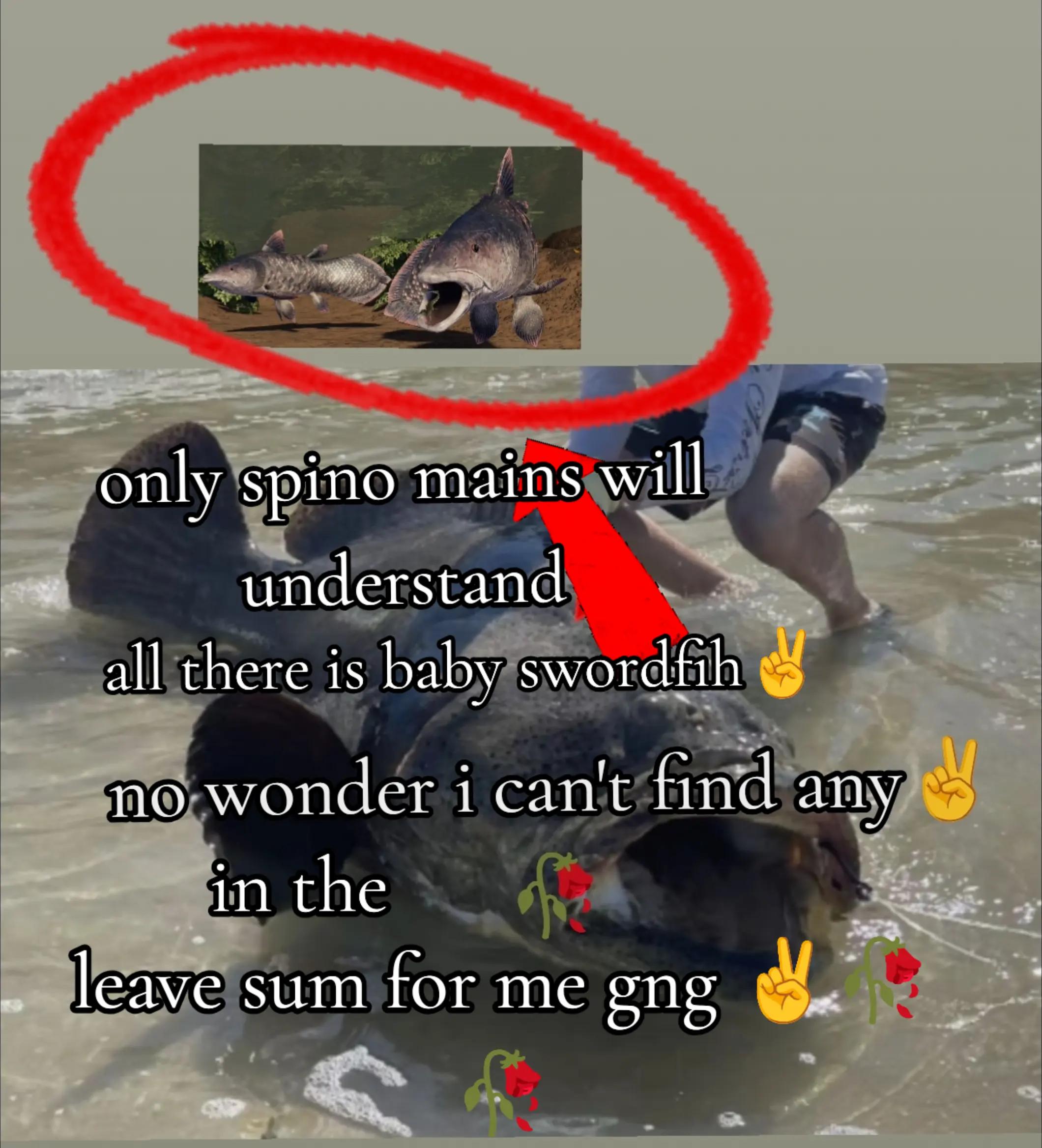 @S҉P҉I҉D҉O҉3҉O҉R҉