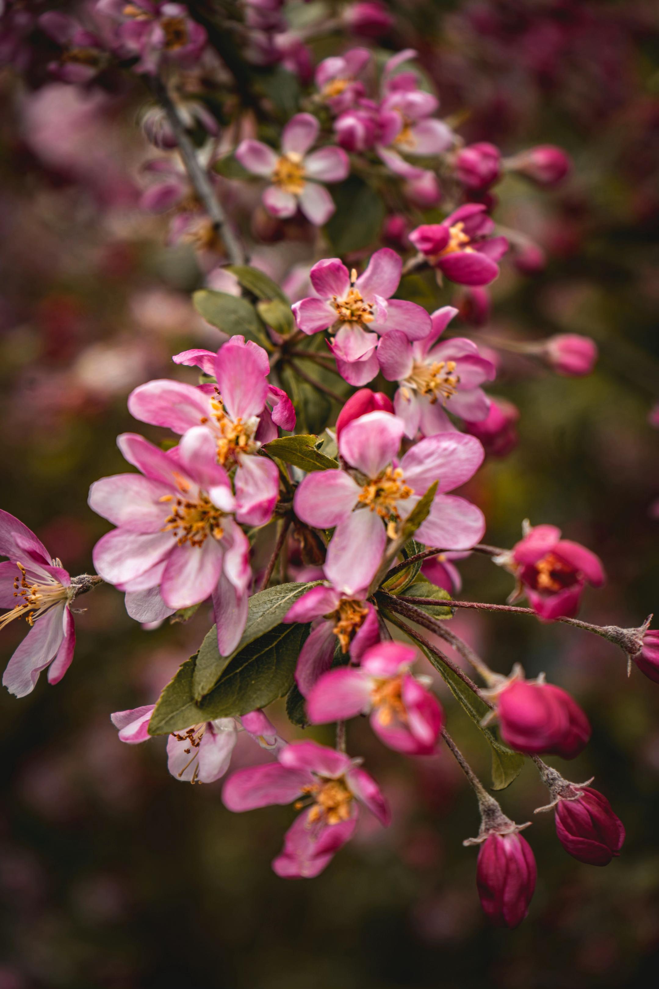 @Andreea Photography ๐ท๐ผ