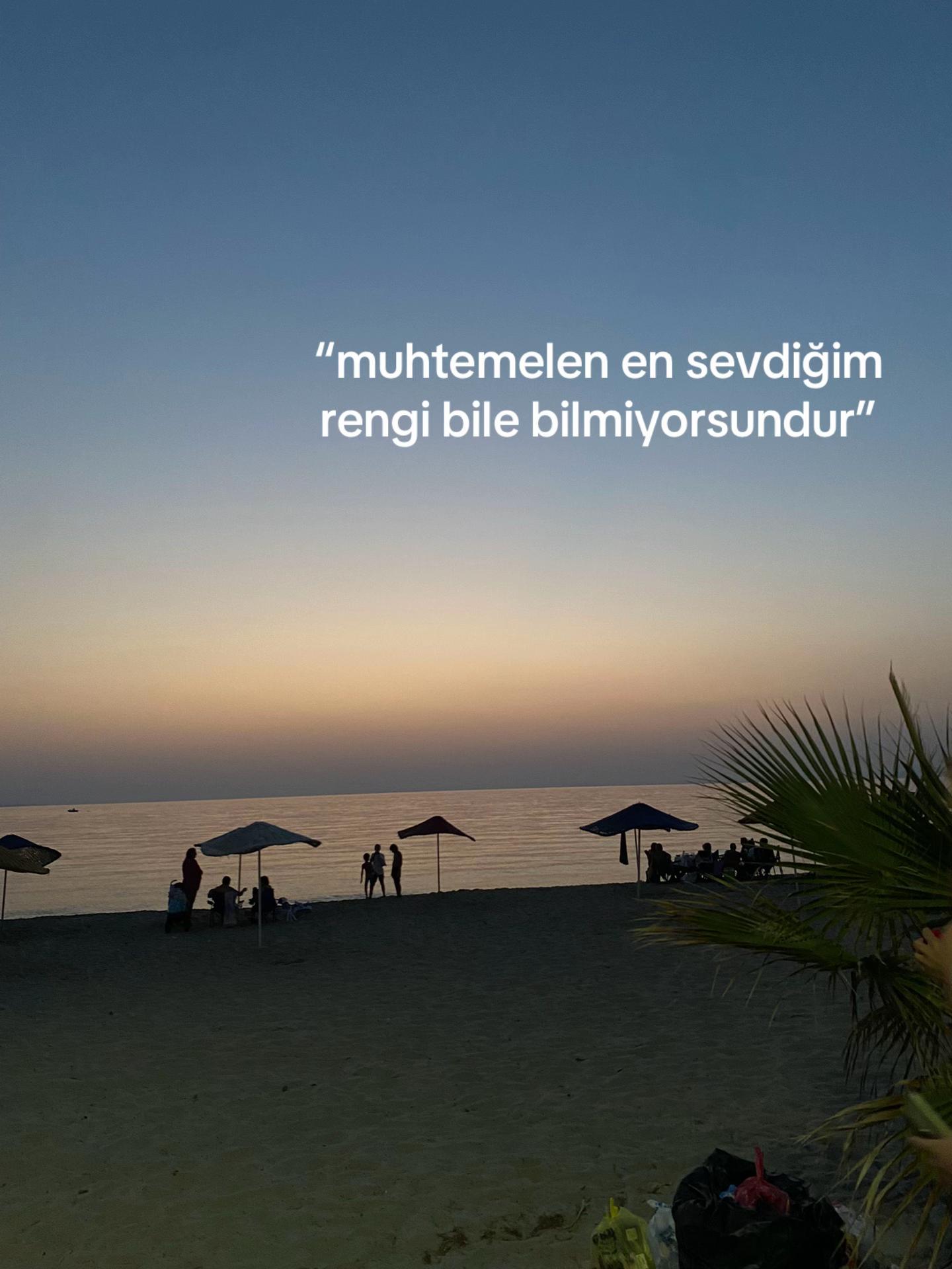 @gülse🦈