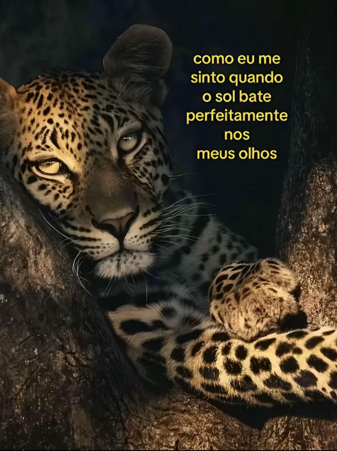 @bruna reis