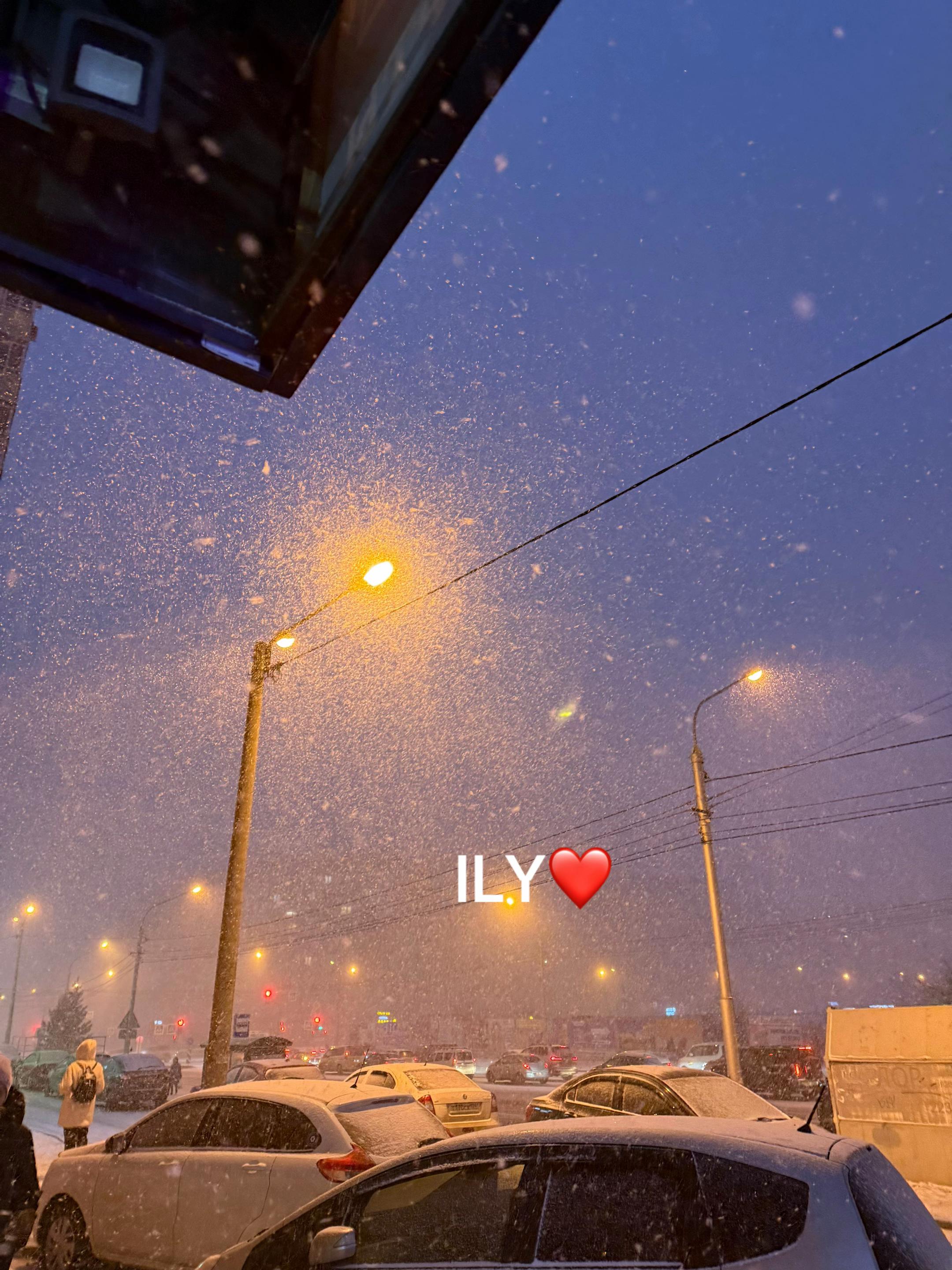 @LILY_DEV